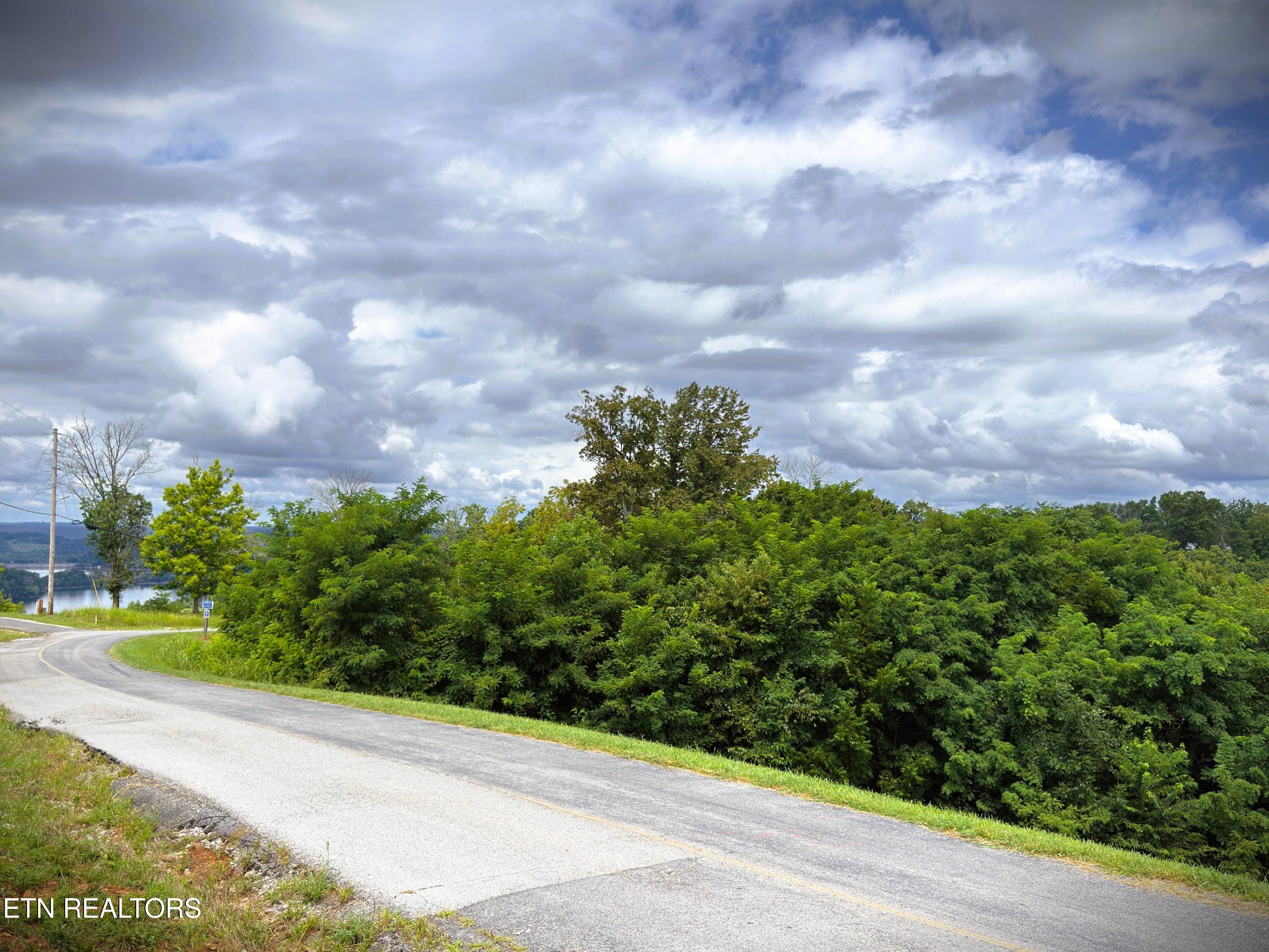 Lot 15c Swan Ridge Road Hilham TN 38568