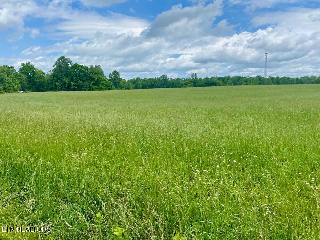 0 Old Martha Washington Road Clarkrange TN 38553