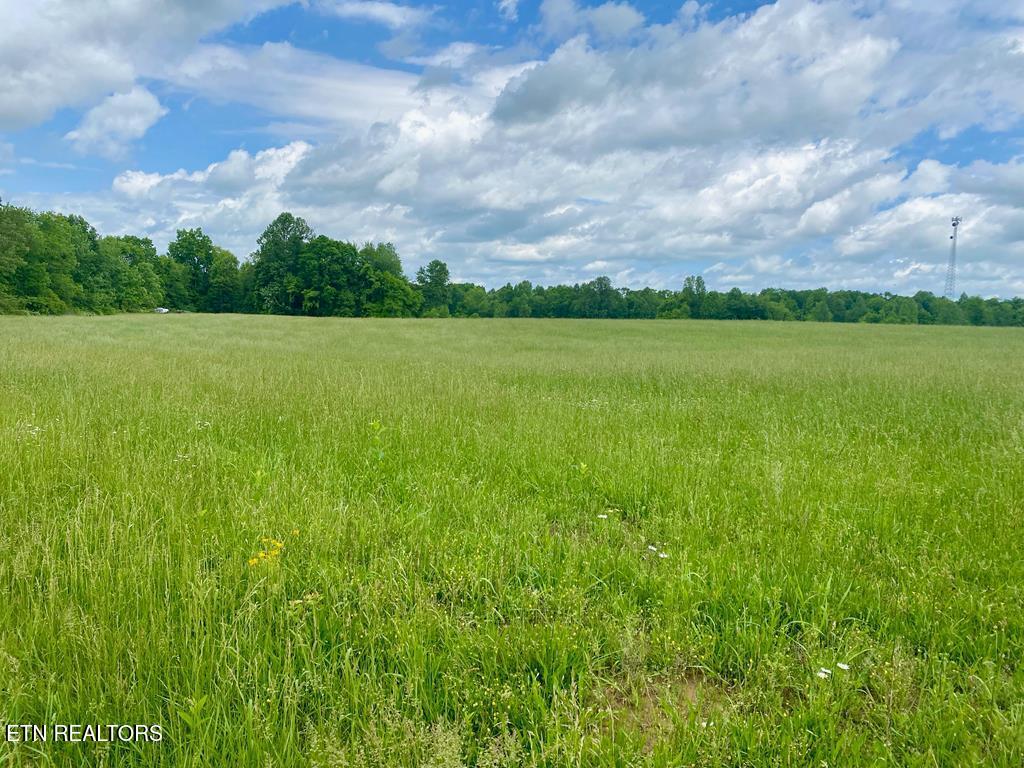 0 Old Martha Washington Road Clarkrange TN 38553