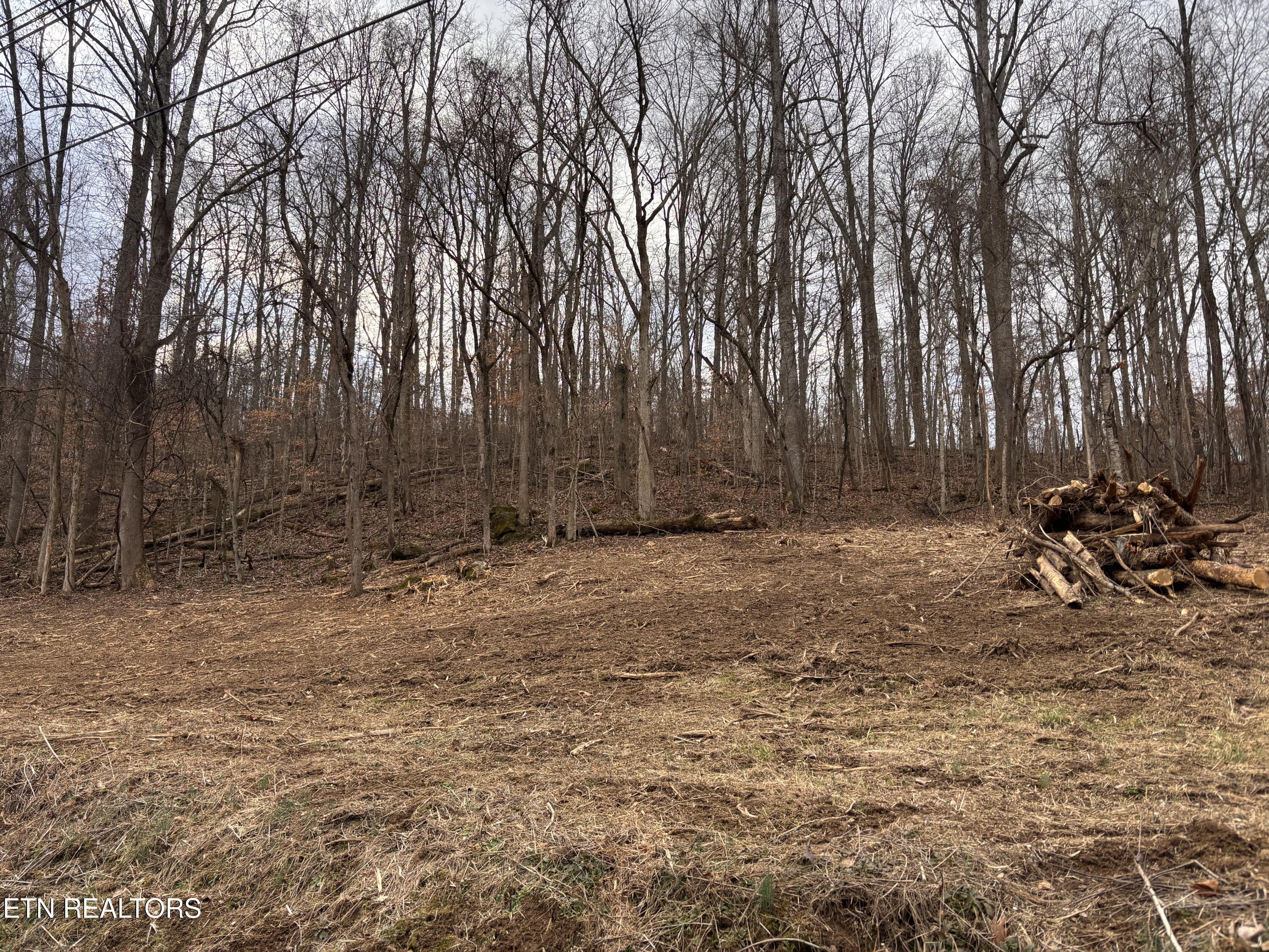Mcgaha Hollow Road Dandridge TN 37725