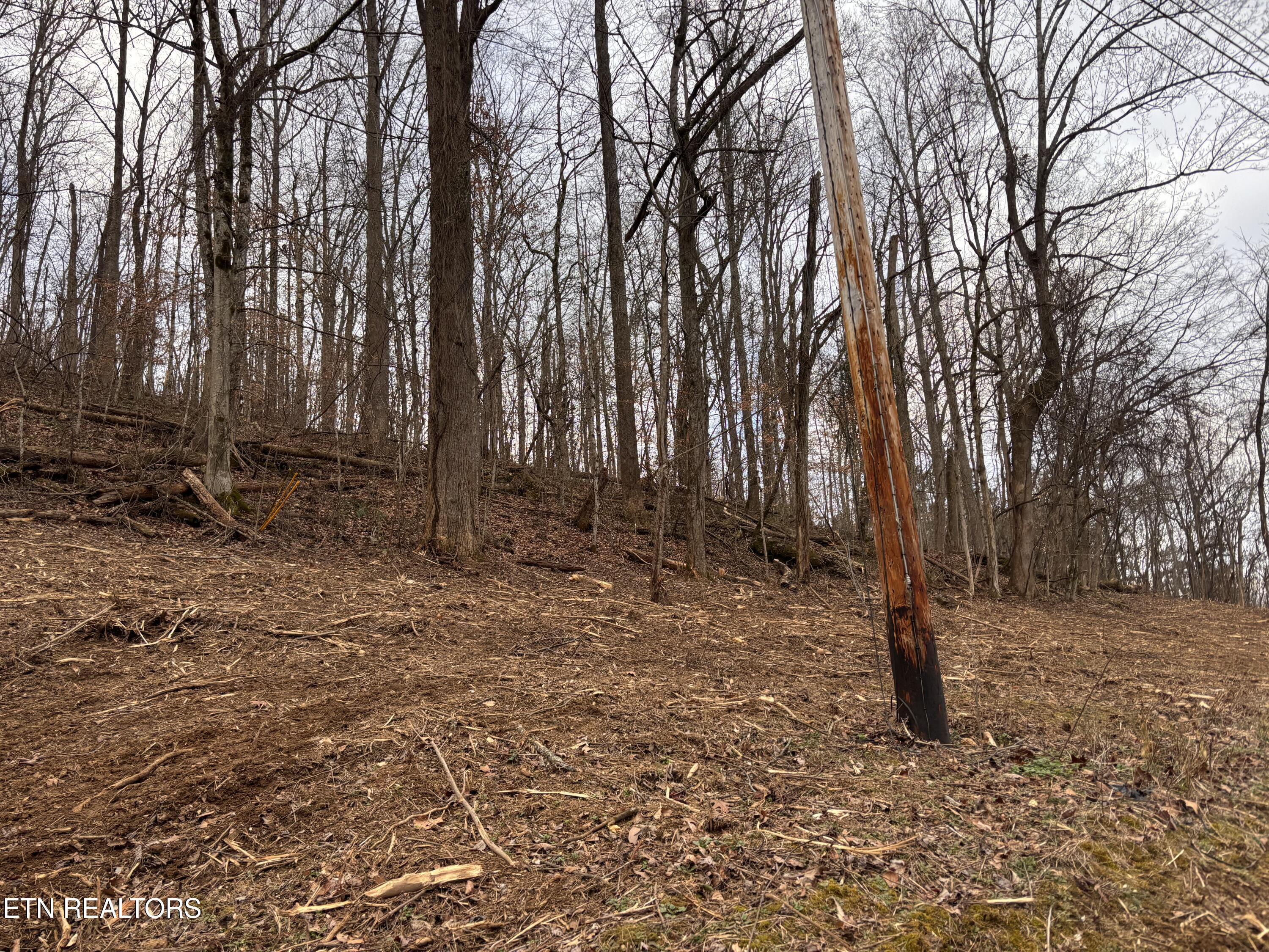 Mcgaha Hollow Road Dandridge TN 37725