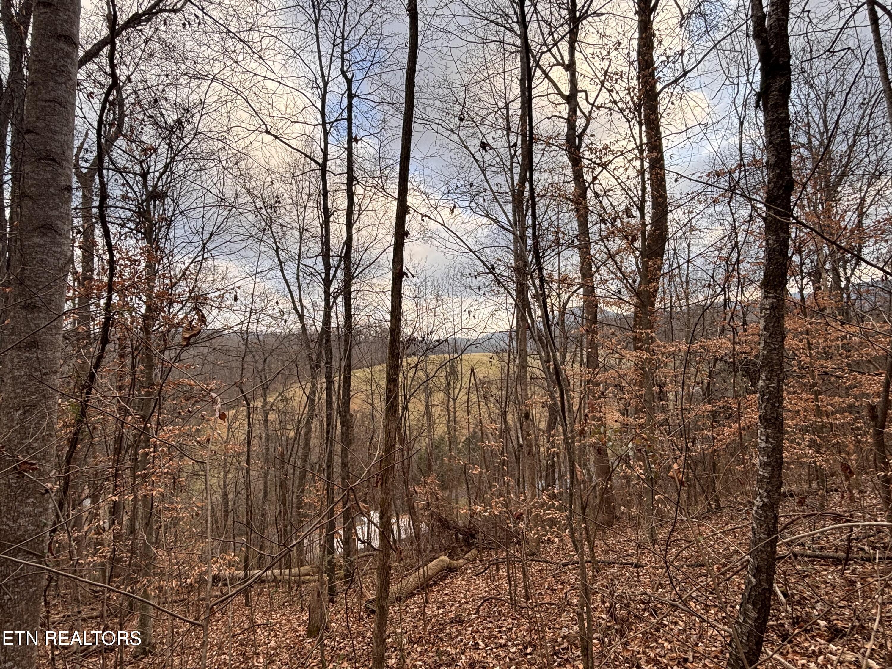 Mcgaha Hollow Road Dandridge TN 37725