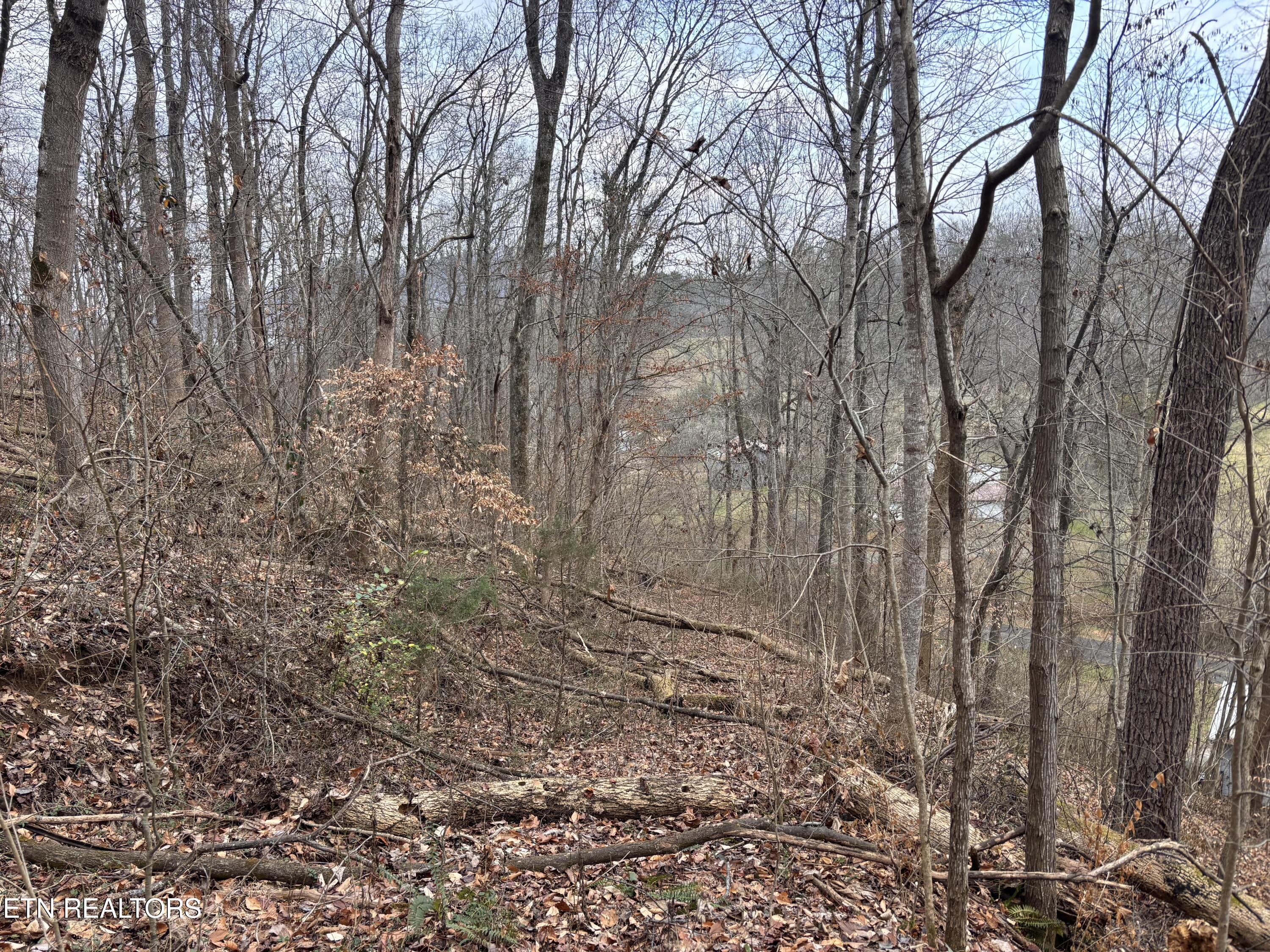 Mcgaha Hollow Road Dandridge TN 37725