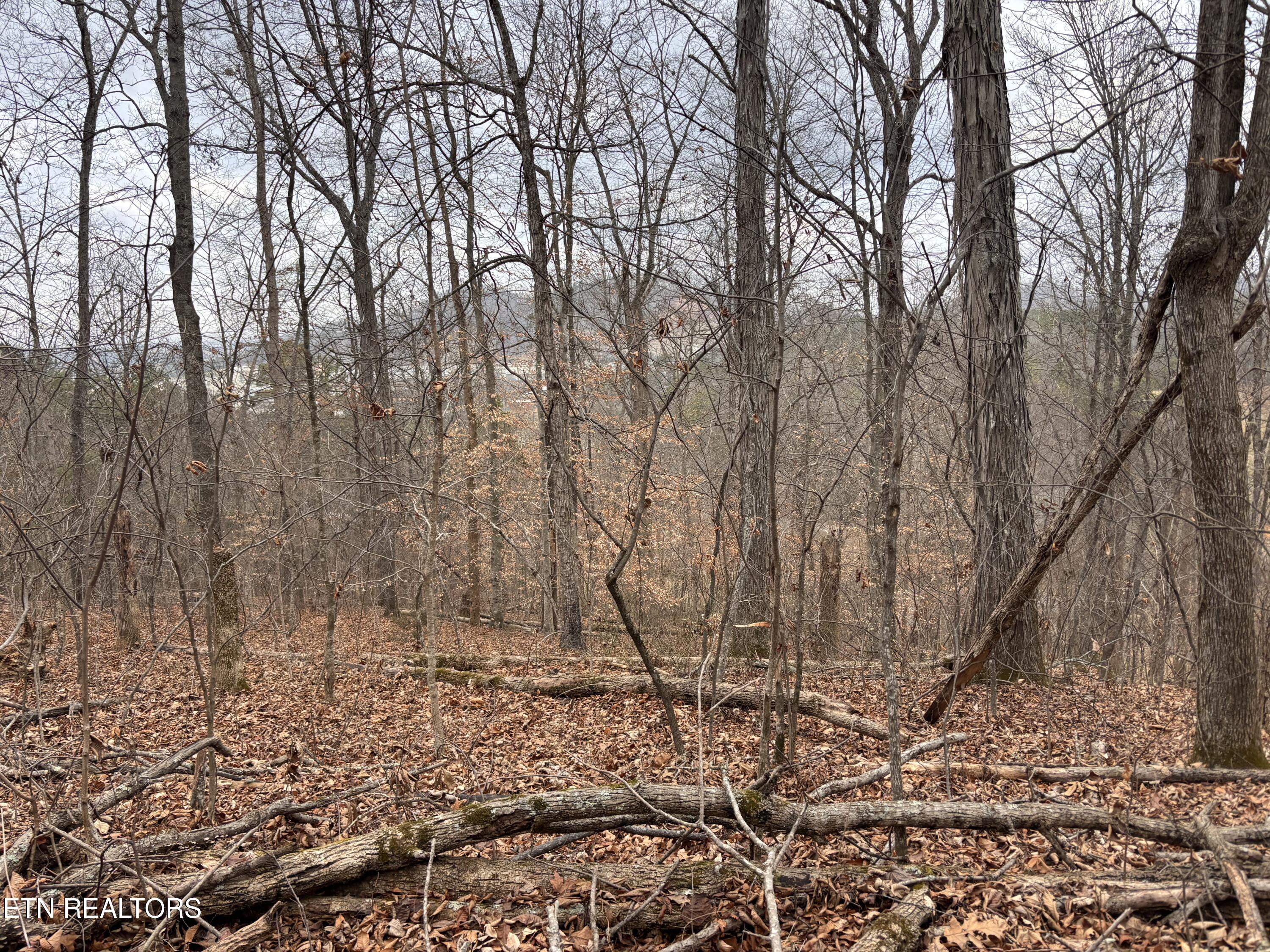 Mcgaha Hollow Road Dandridge TN 37725