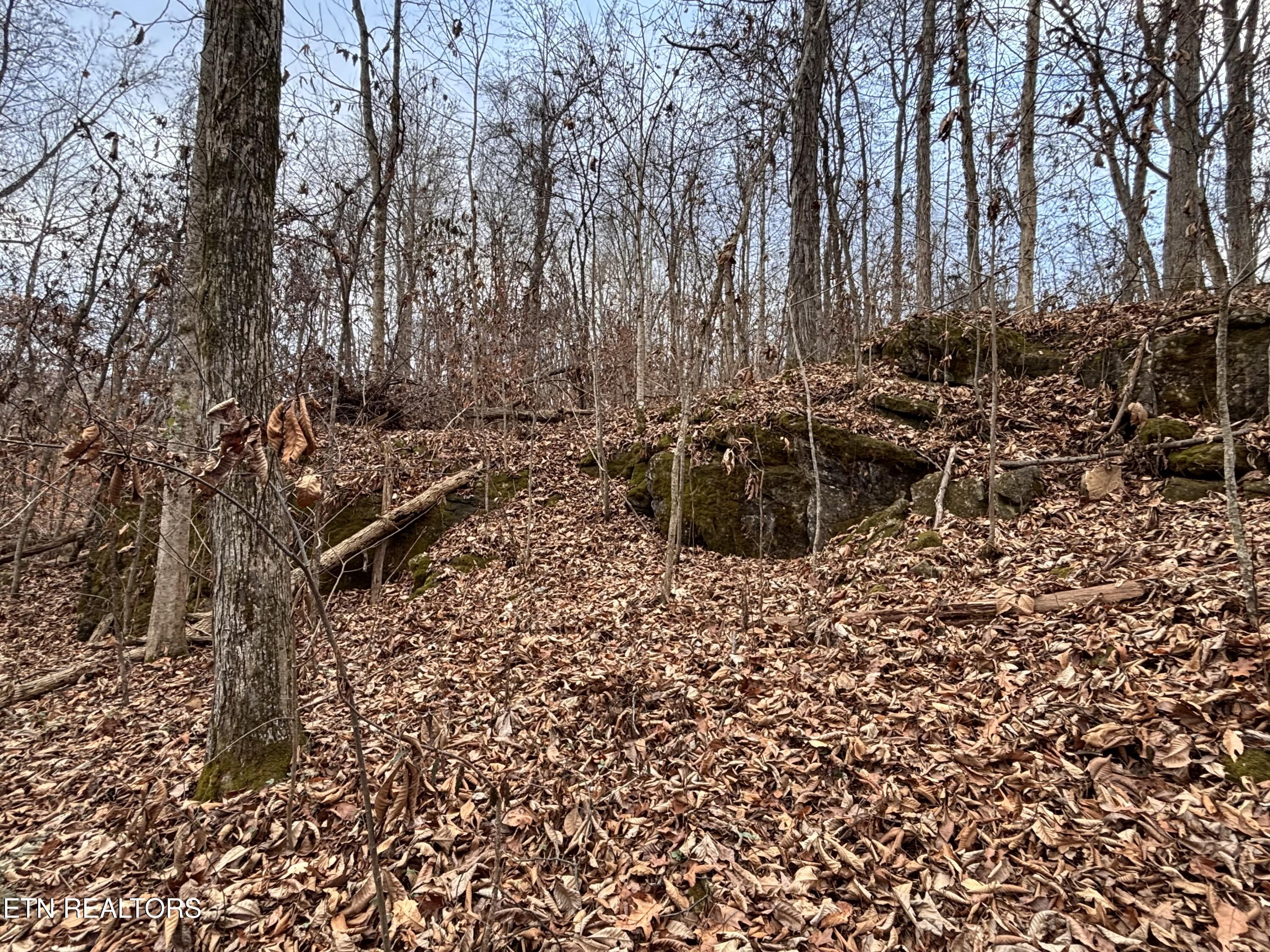 Mcgaha Hollow Road Dandridge TN 37725