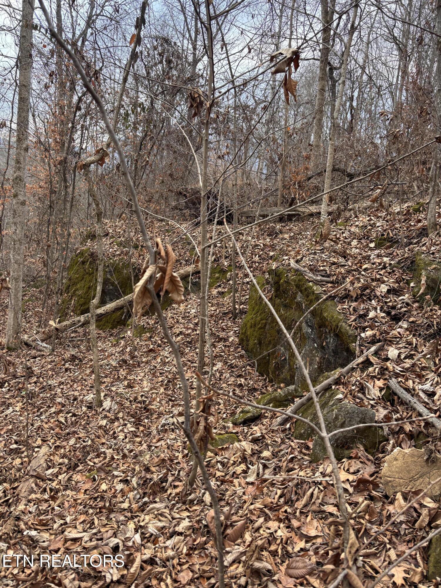 Mcgaha Hollow Road Dandridge TN 37725