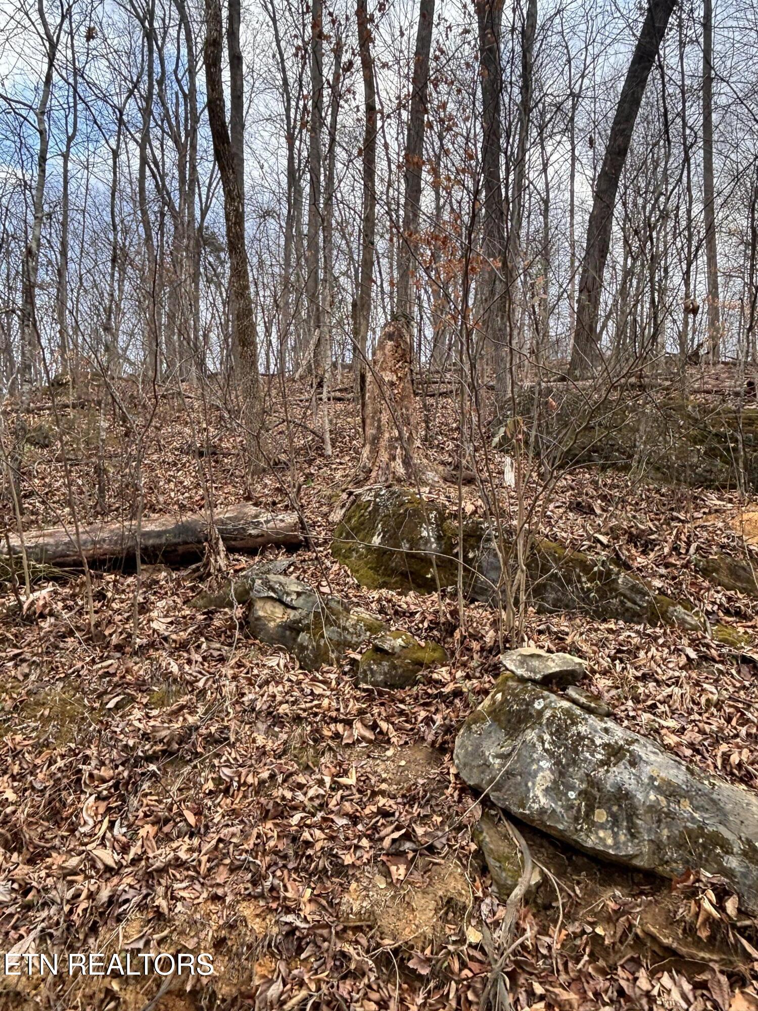Mcgaha Hollow Road Dandridge TN 37725