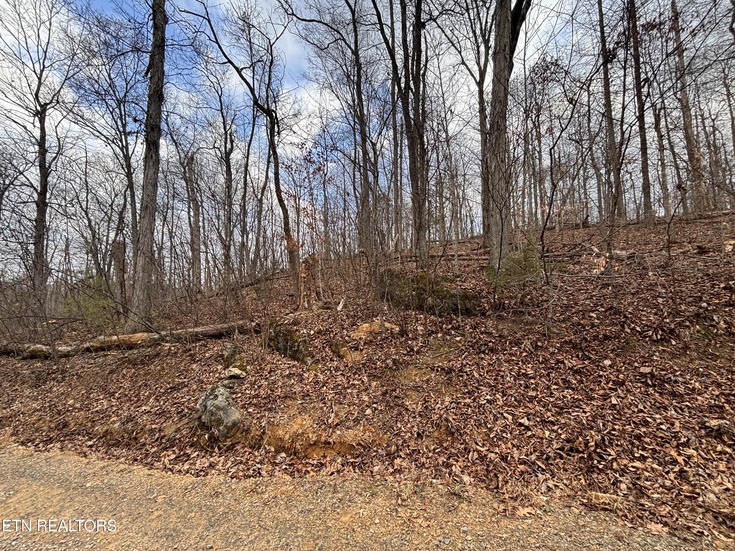Mcgaha Hollow Road Dandridge TN 37725