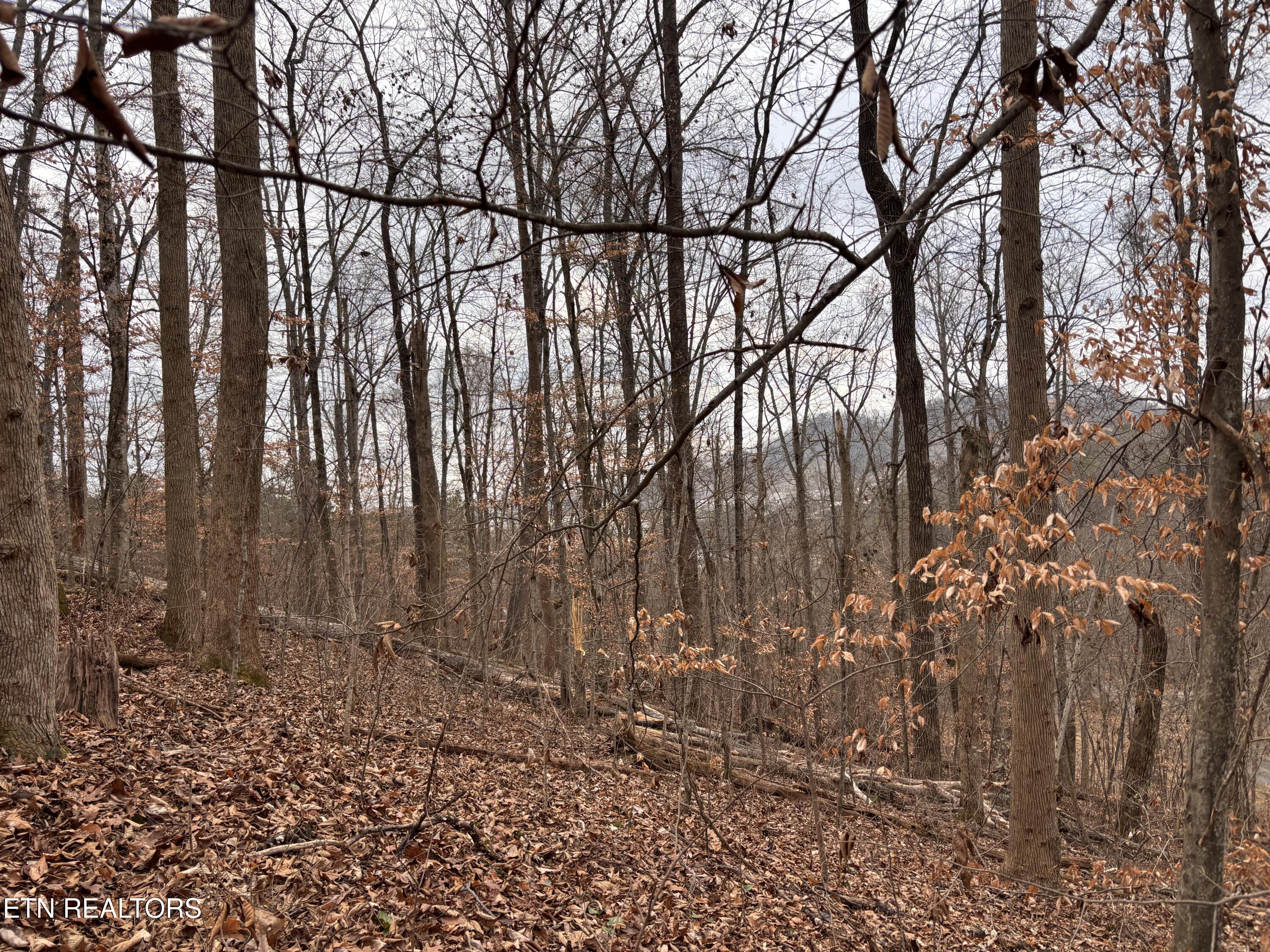 Mcgaha Hollow Road Dandridge TN 37725