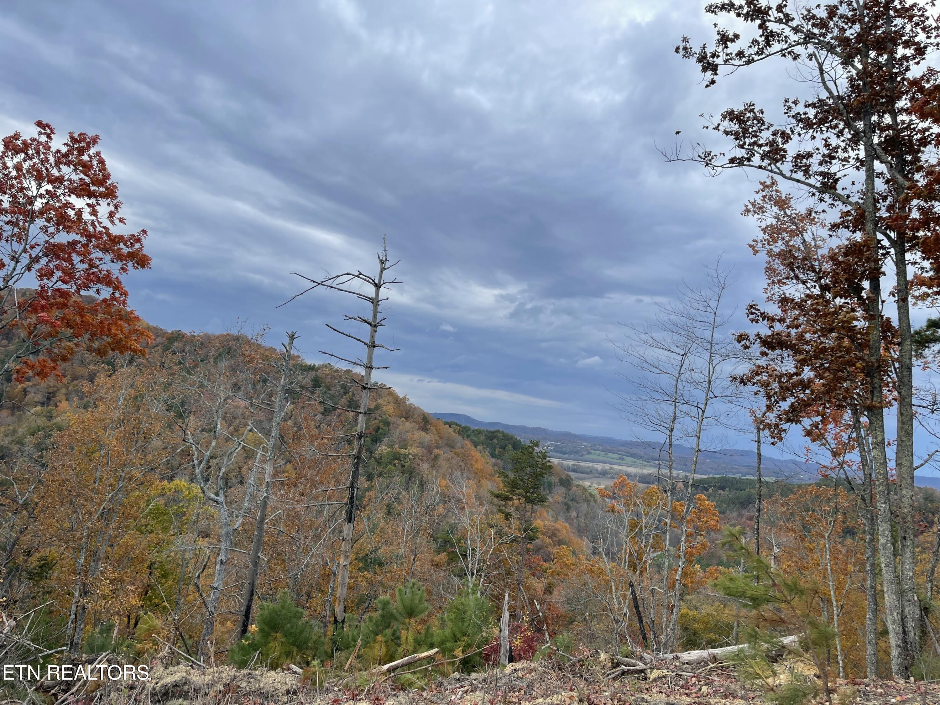 157 Quarry Creek Road Tellico Plains TN 37385