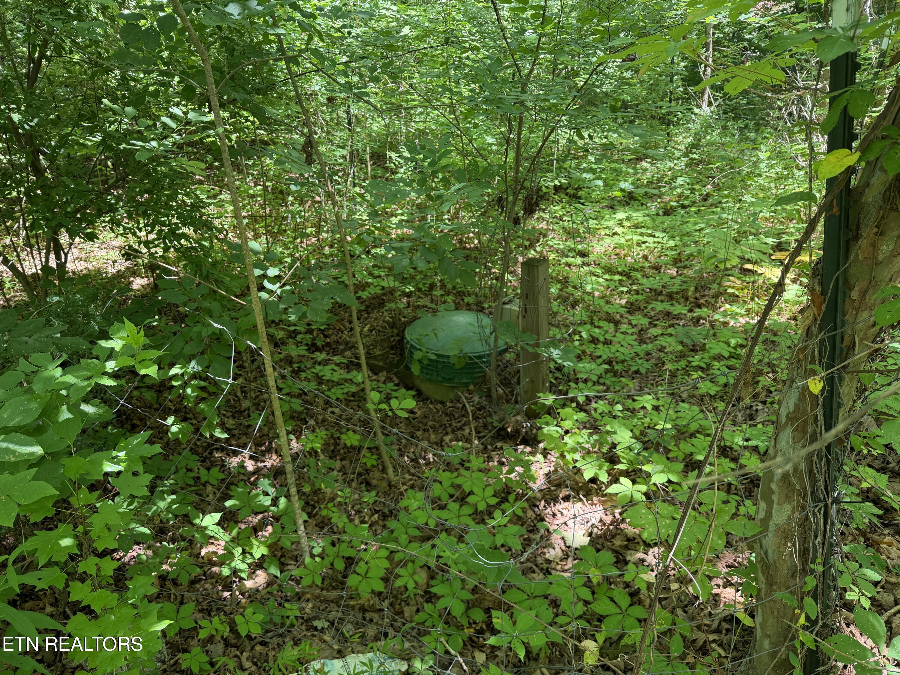 1919 Reagan Mill Road Maryville TN 37803