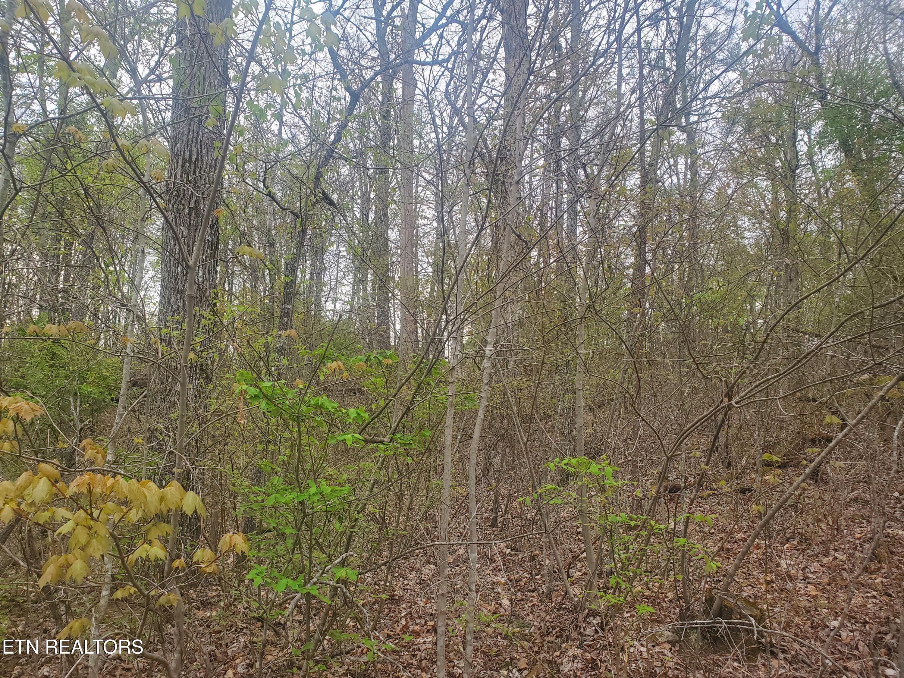 8646 Cherokee Trail Crossville TN 38572