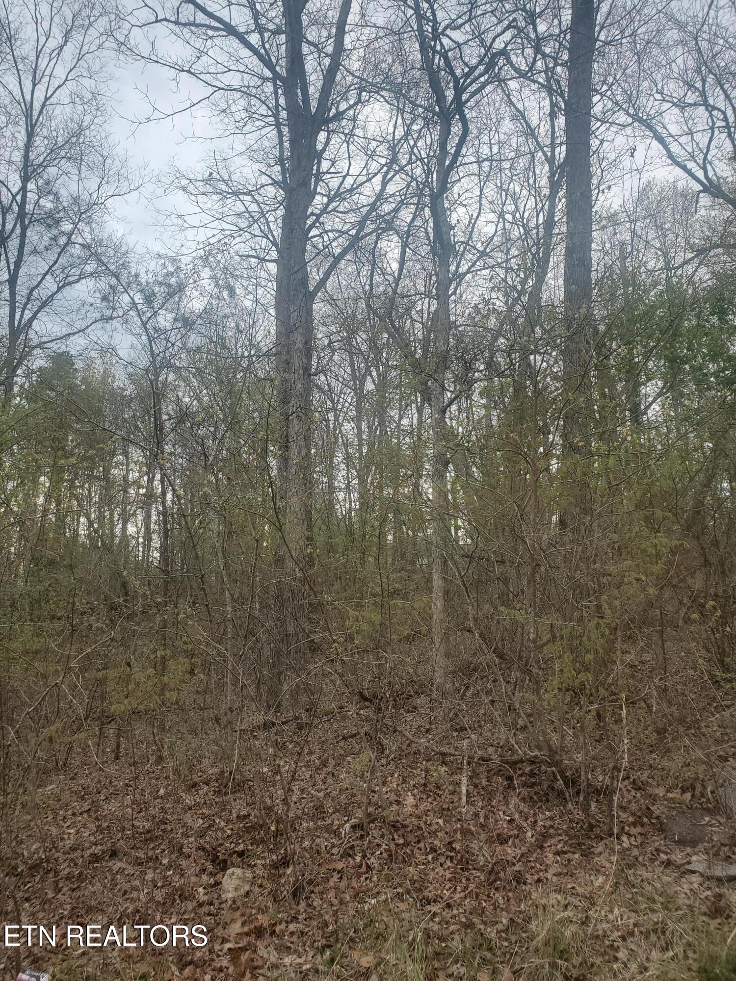 8646 Cherokee Trail Crossville TN 38572