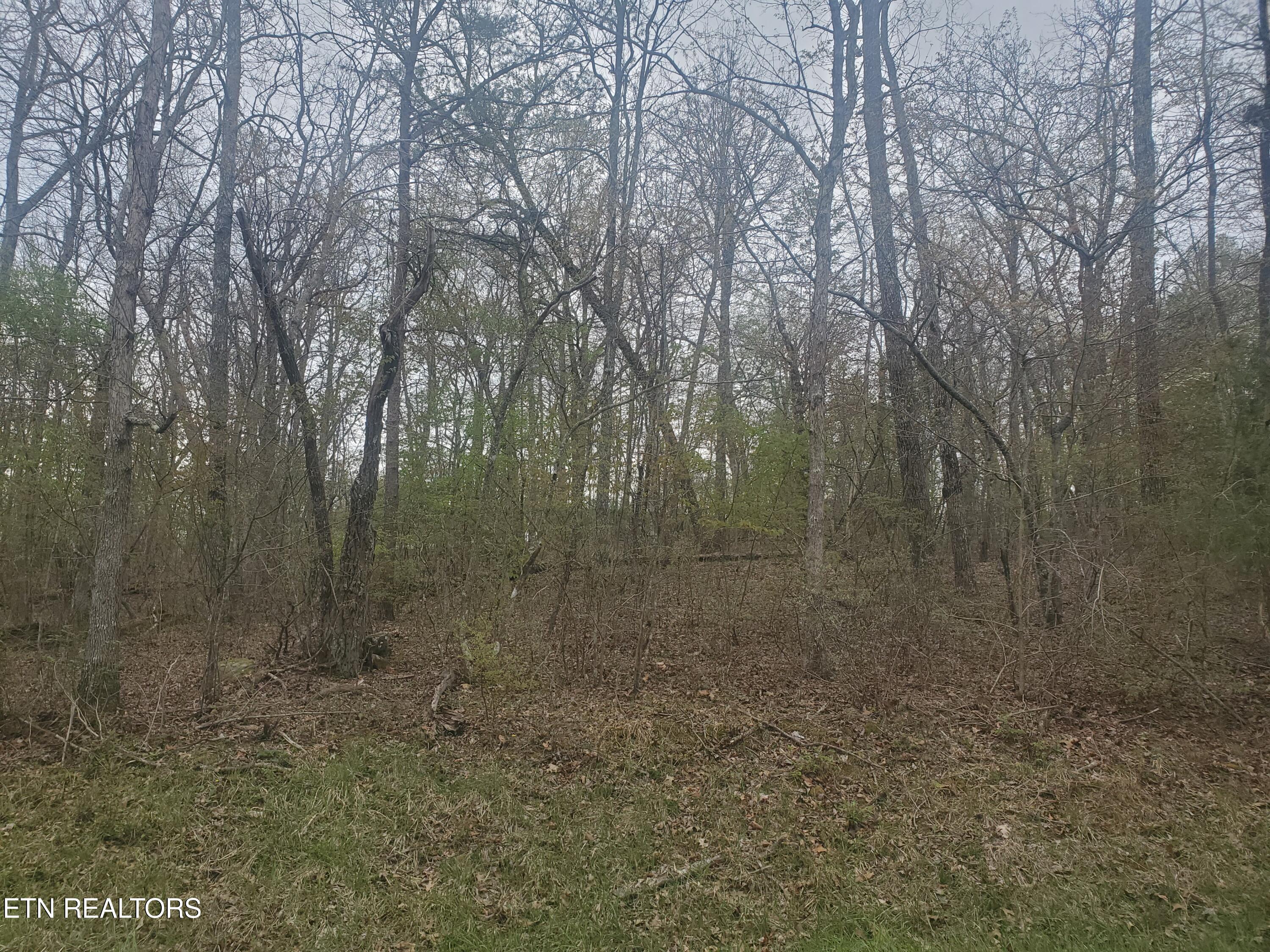 8646 Cherokee Trail Crossville TN 38572