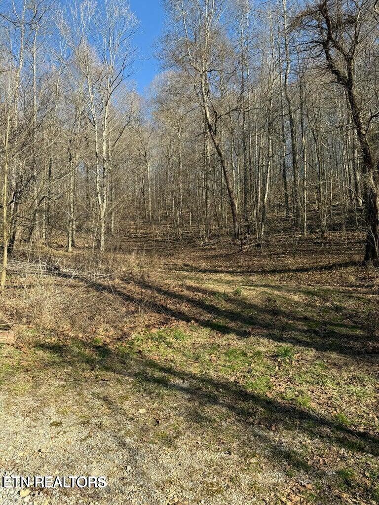 00 Jackson Ridge Road Tazewell TN 37879