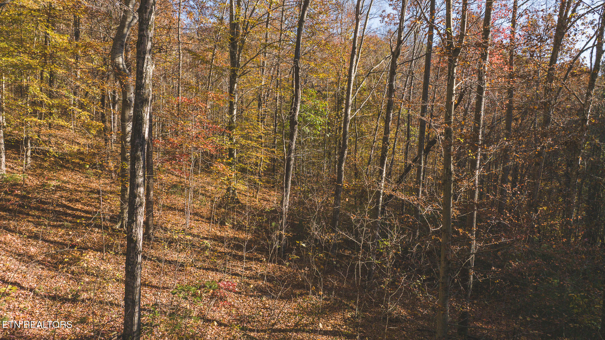 00 Jackson Ridge Road Tazewell TN 37879