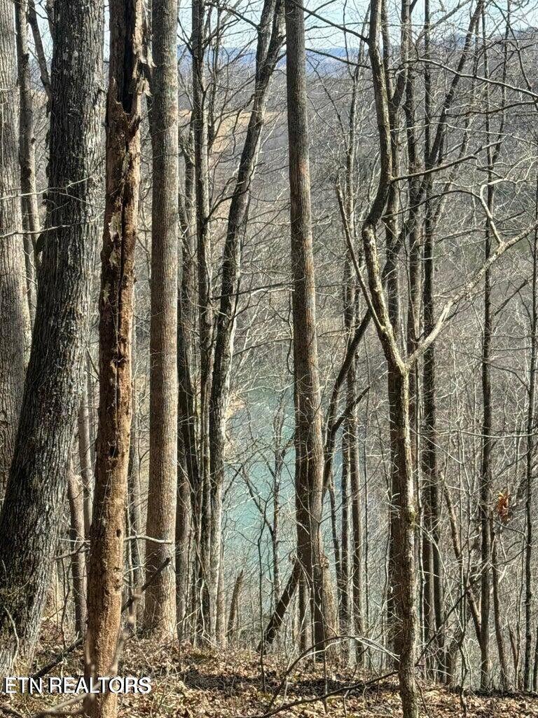 00 Jackson Ridge Road Tazewell TN 37879