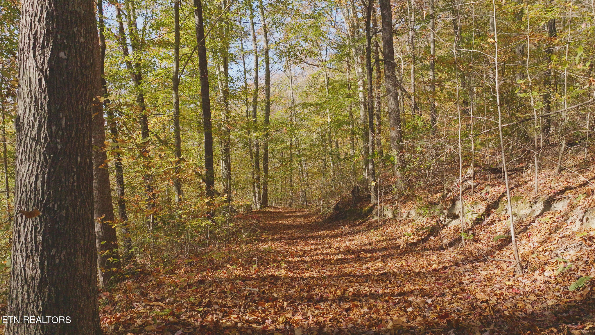 00 Jackson Ridge Road Tazewell TN 37879