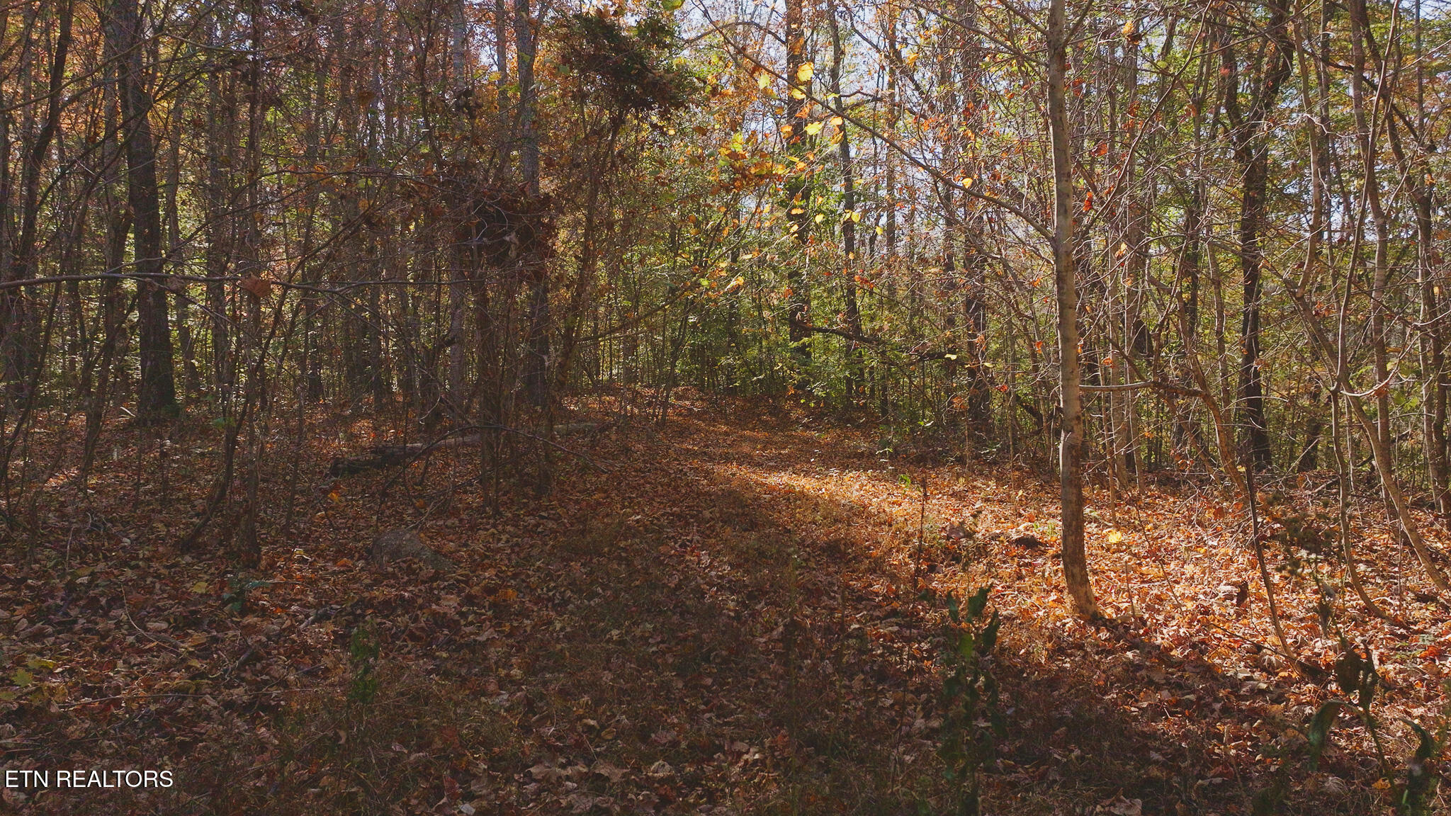 00 Jackson Ridge Road Tazewell TN 37879