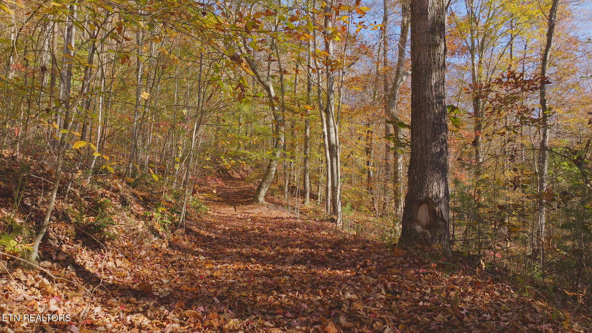 00 Jackson Ridge Road Tazewell TN 37879