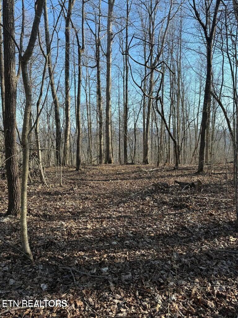 00 Jackson Ridge Road Tazewell TN 37879