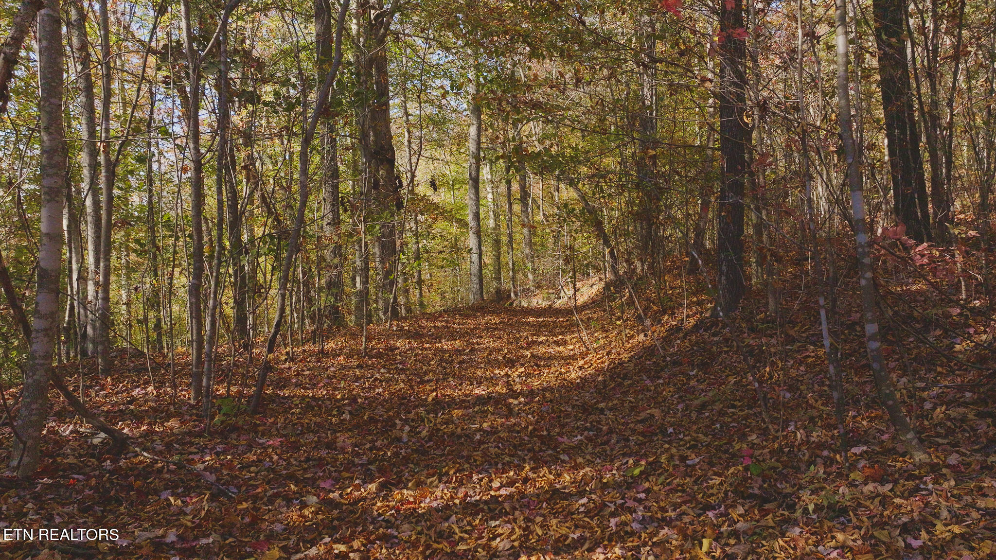 00 Jackson Ridge Road Tazewell TN 37879