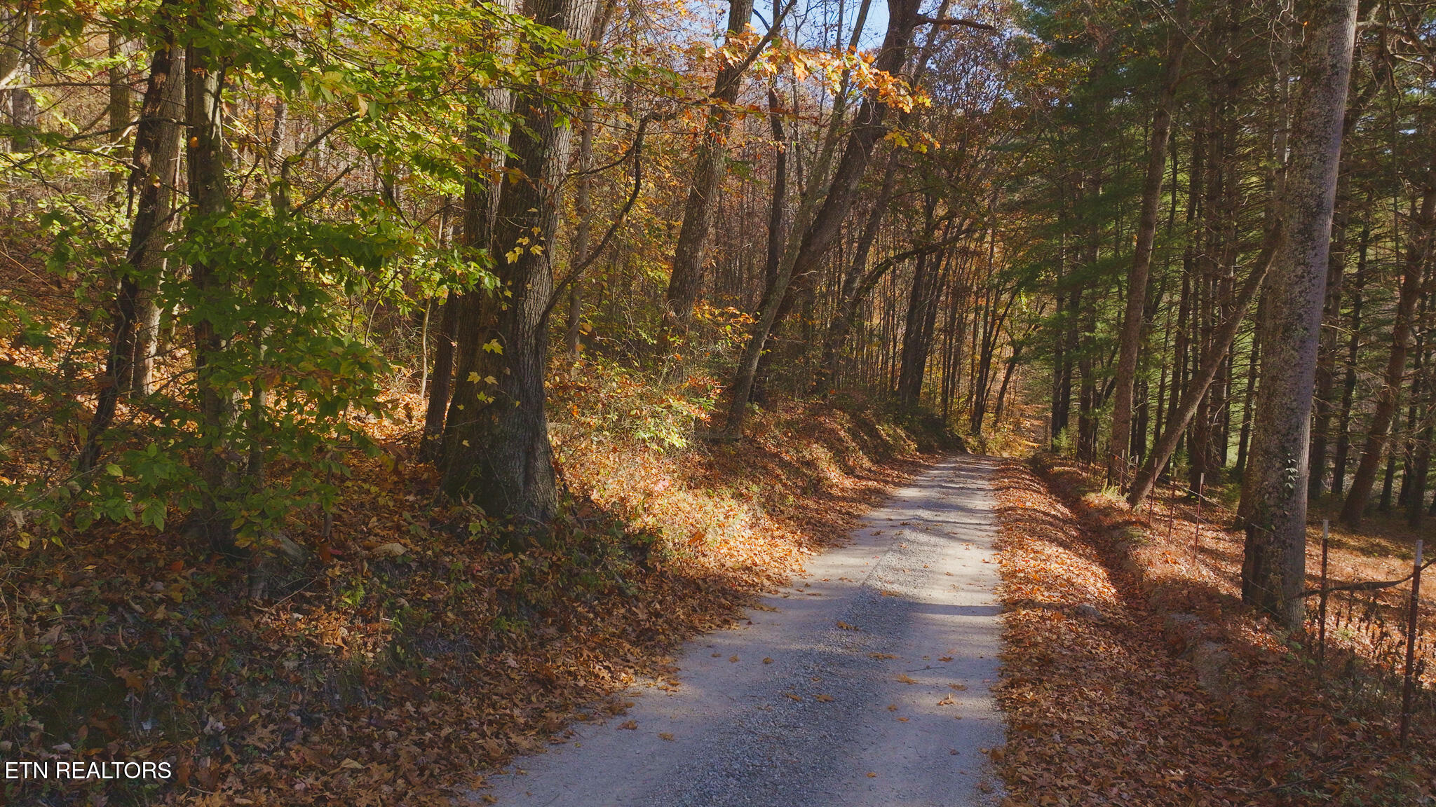 00 Jackson Ridge Road Tazewell TN 37879