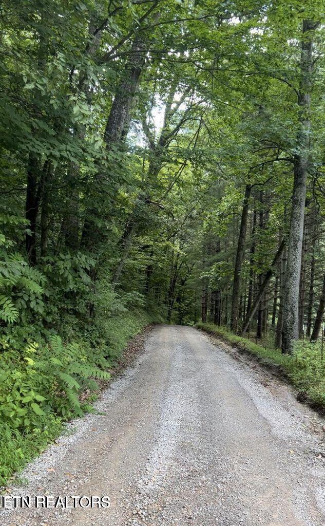 00 Jackson Ridge Road Tazewell TN 37879