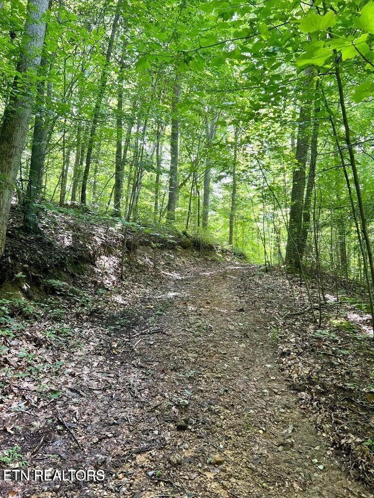 00 Jackson Ridge Road Tazewell TN 37879