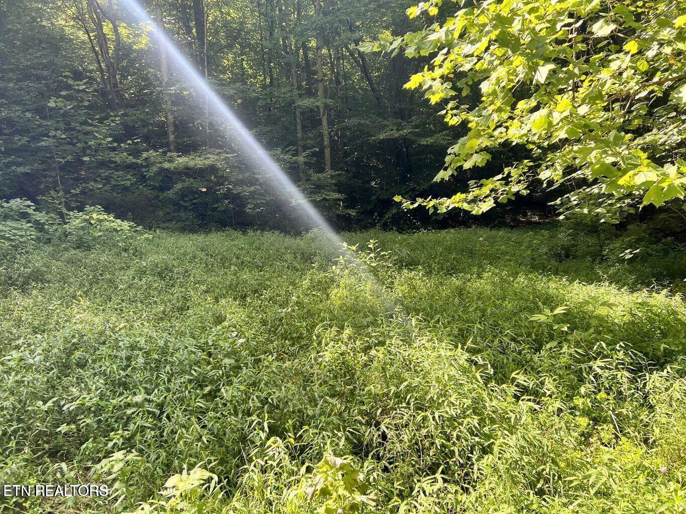 00 Jackson Ridge Road Tazewell TN 37879