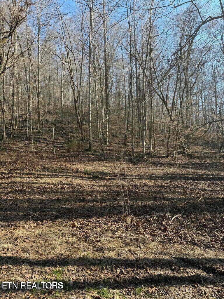 00 Jackson Ridge Road Tazewell TN 37879