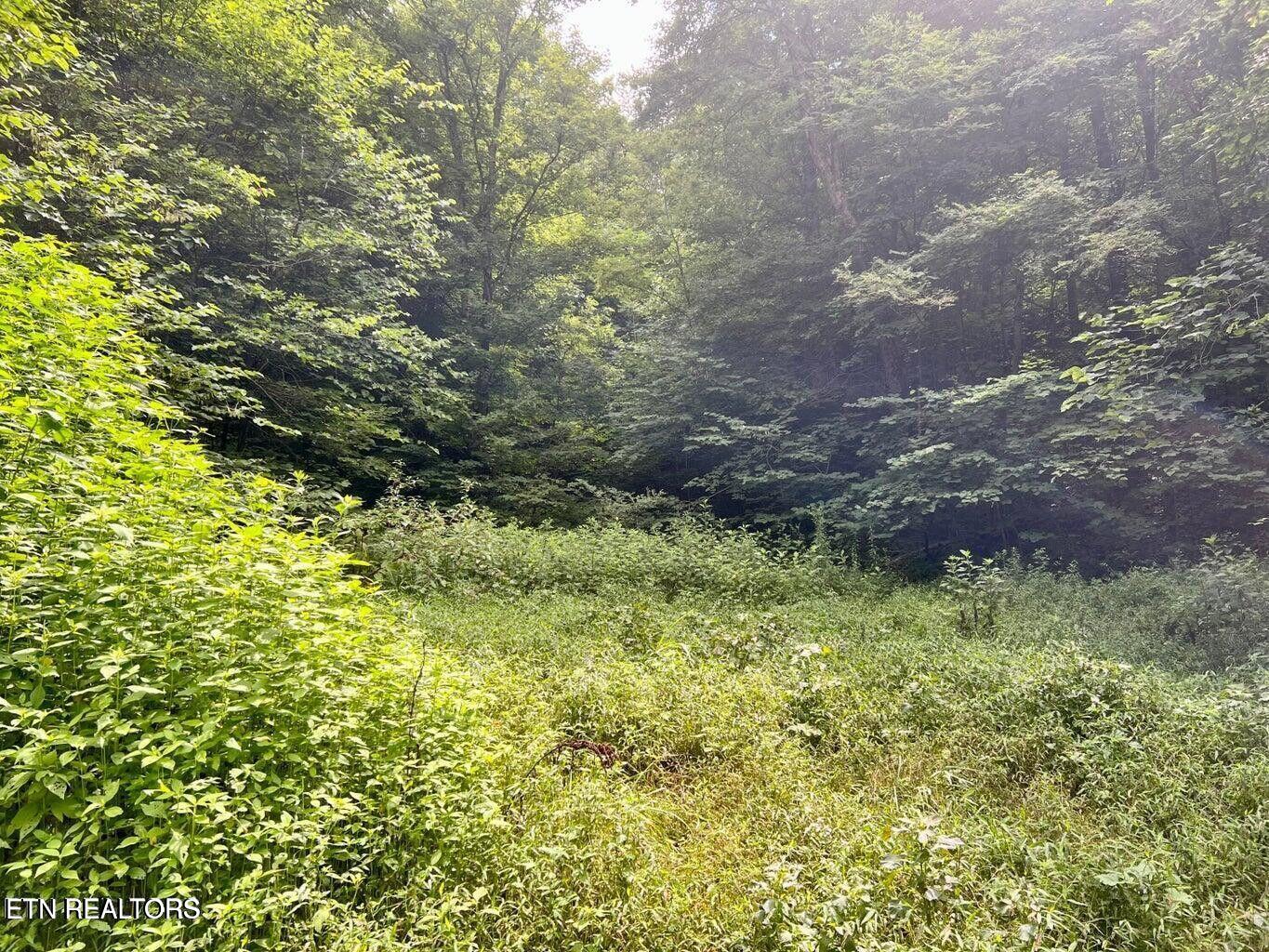 00 Jackson Ridge Road Tazewell TN 37879