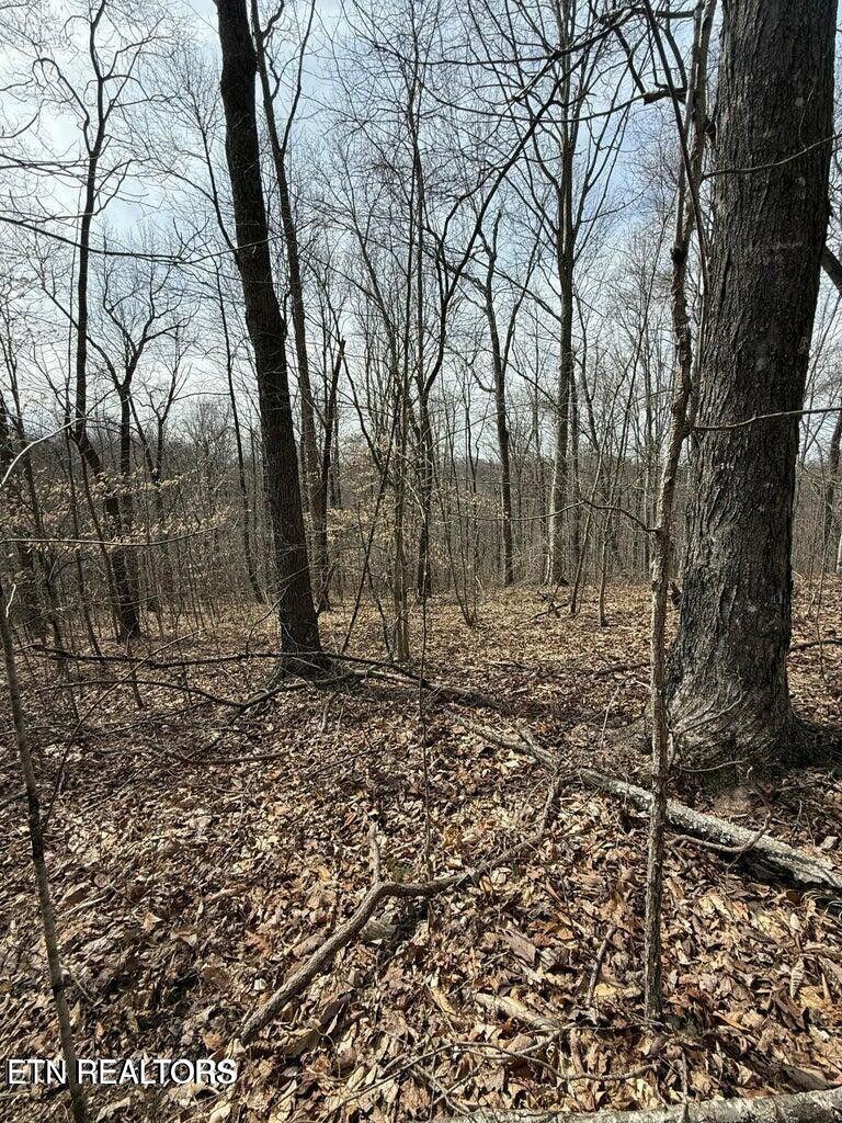 00 Jackson Ridge Road Tazewell TN 37879