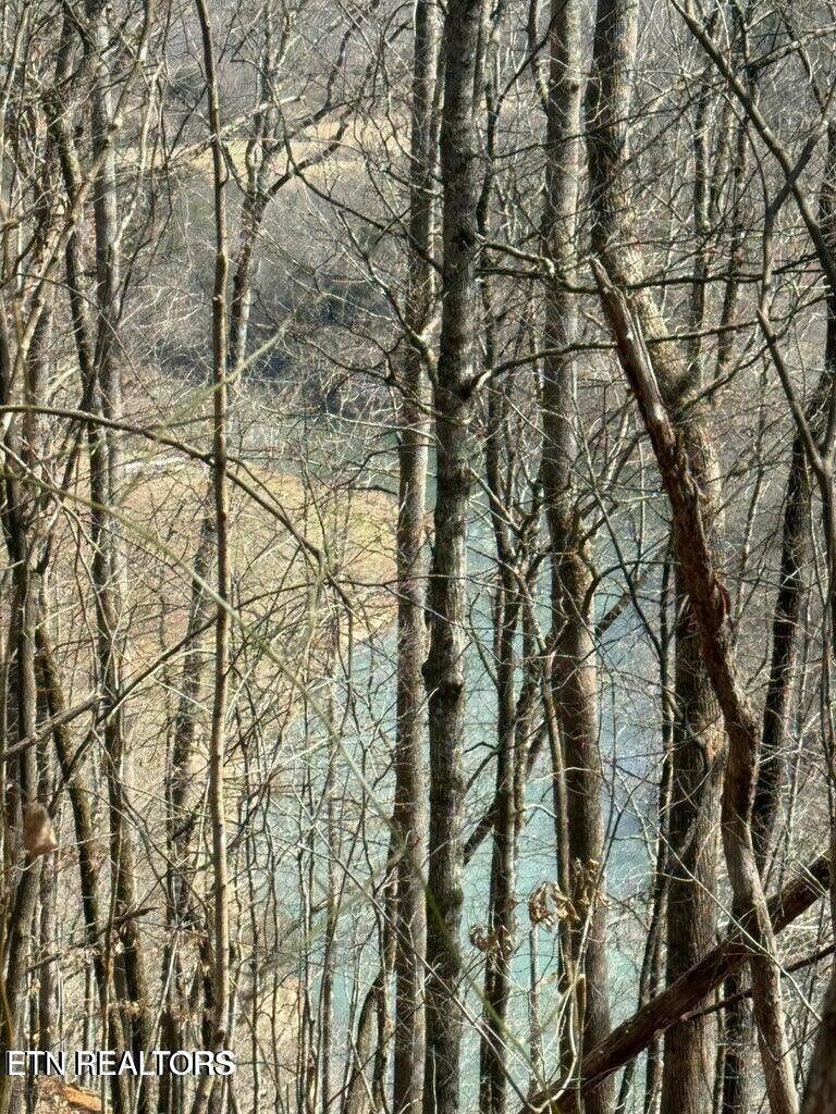 00 Jackson Ridge Road Tazewell TN 37879
