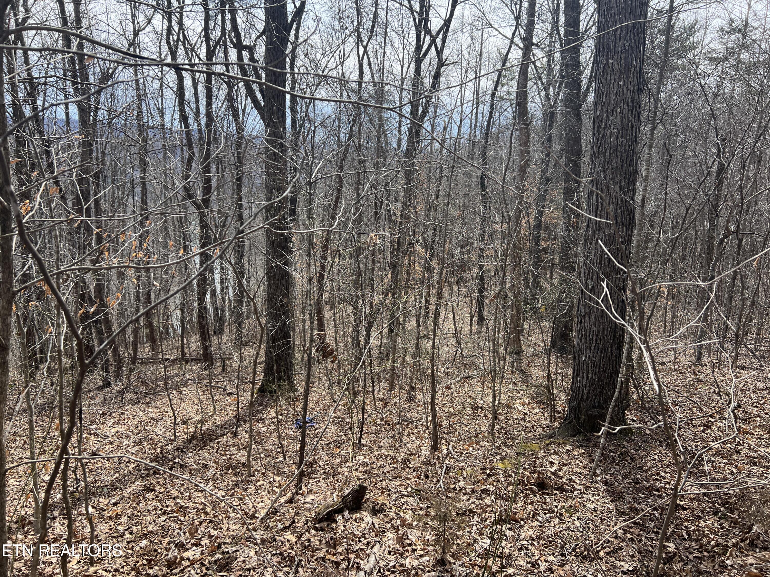 00 Jackson Ridge Road Tazewell TN 37879