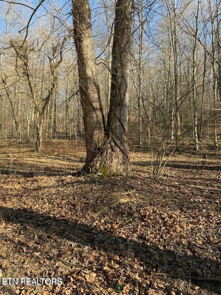 00 Jackson Ridge Road Tazewell TN 37879