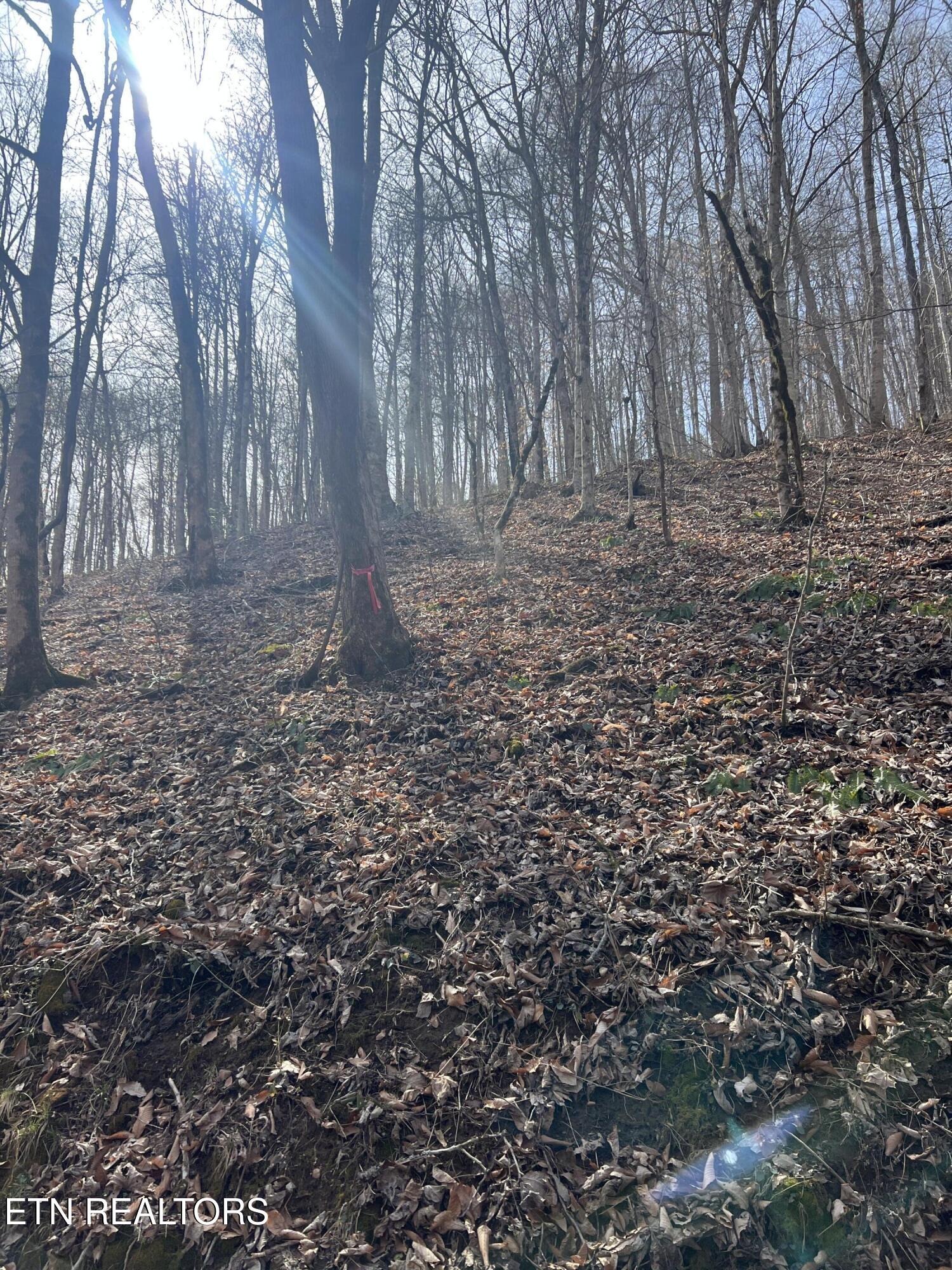 00 Jackson Ridge Road Tazewell TN 37879