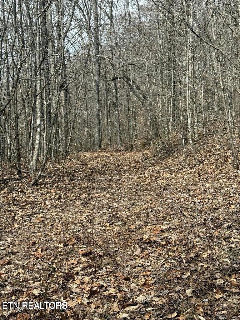 00 Jackson Ridge Road Tazewell TN 37879