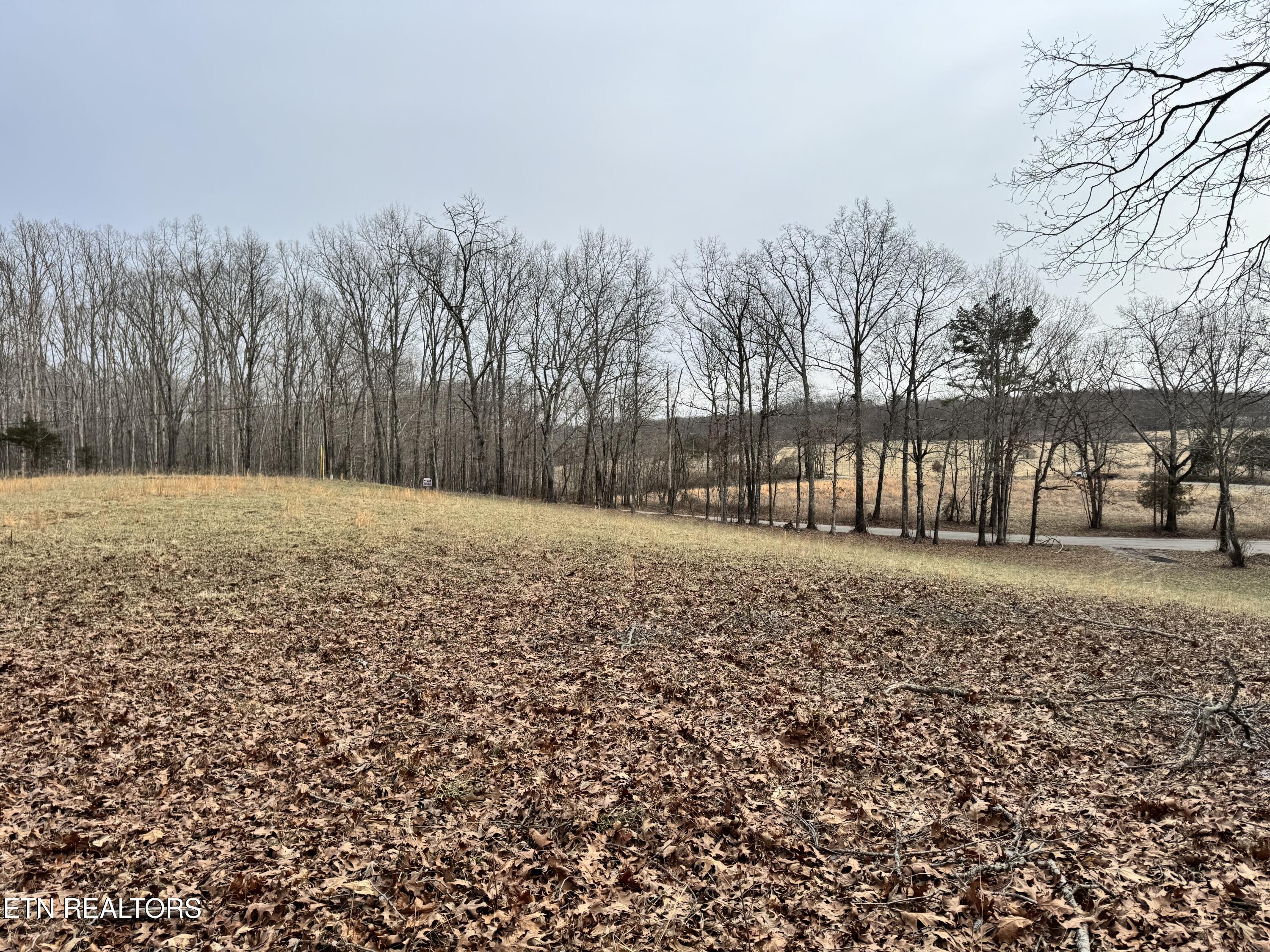 41 Smith Mountain Road Rockwood TN 37854