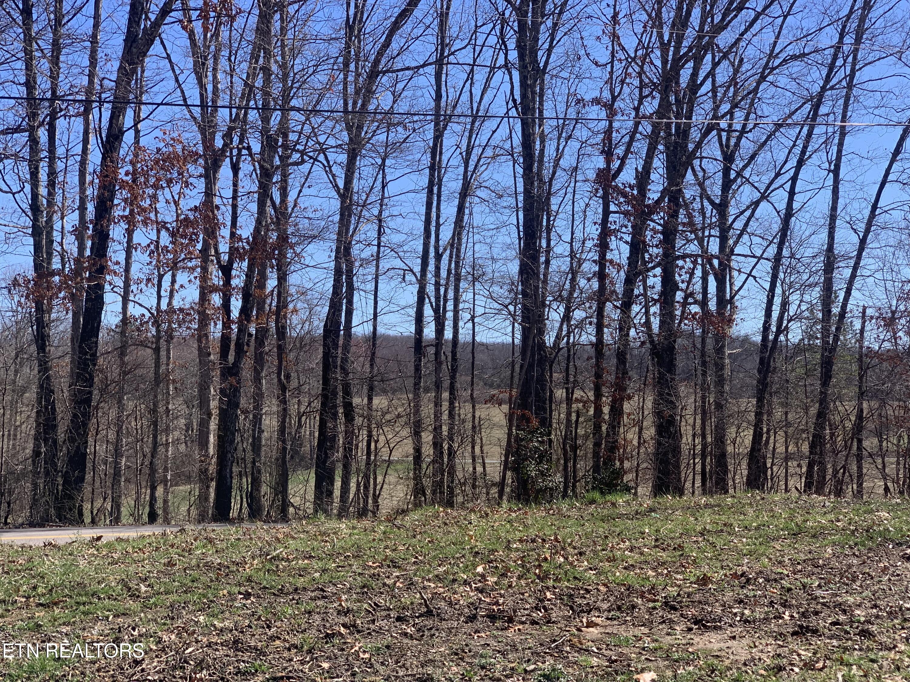 41 Smith Mountain Road Rockwood TN 37854