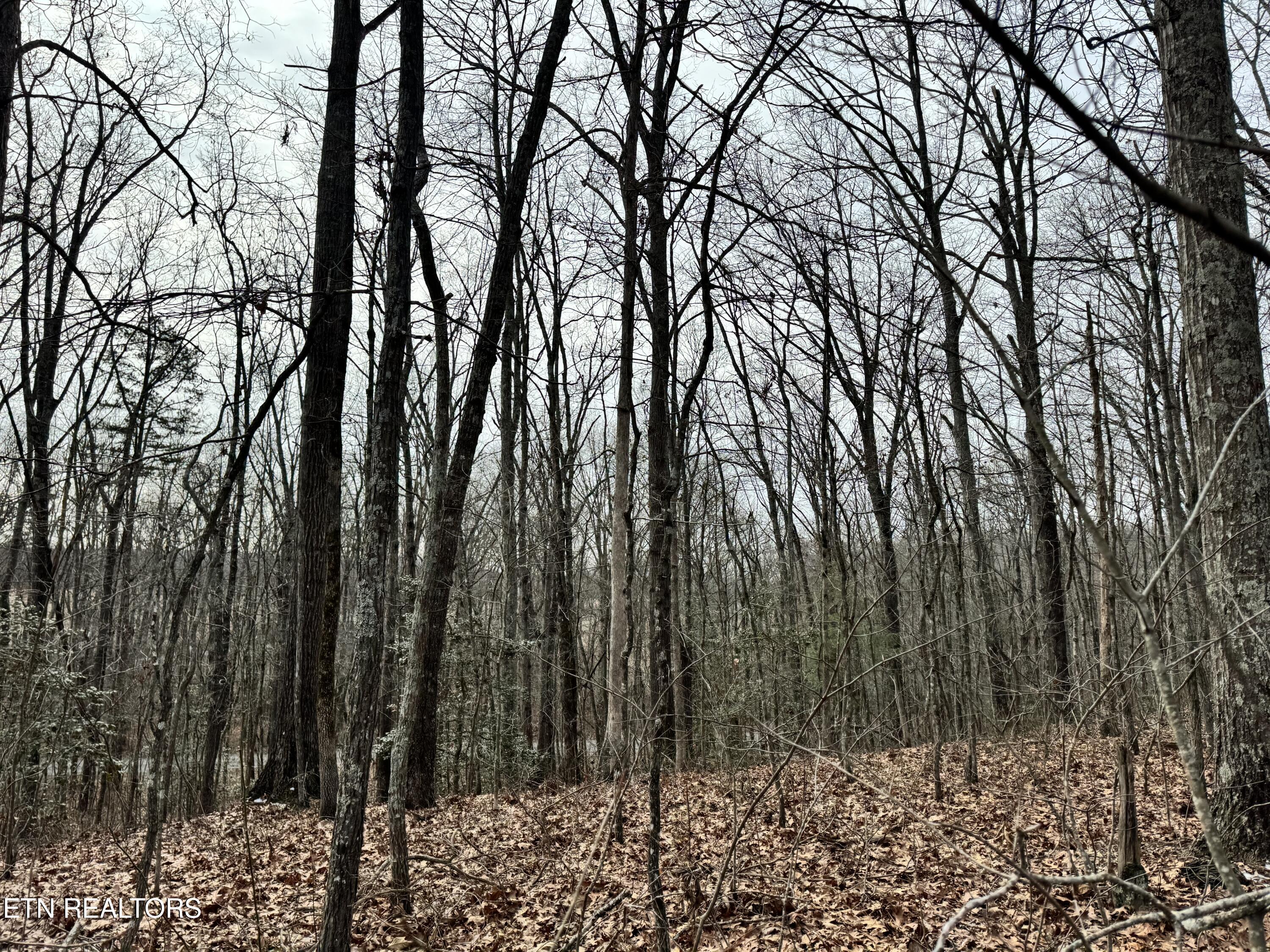 41 Smith Mountain Road Rockwood TN 37854