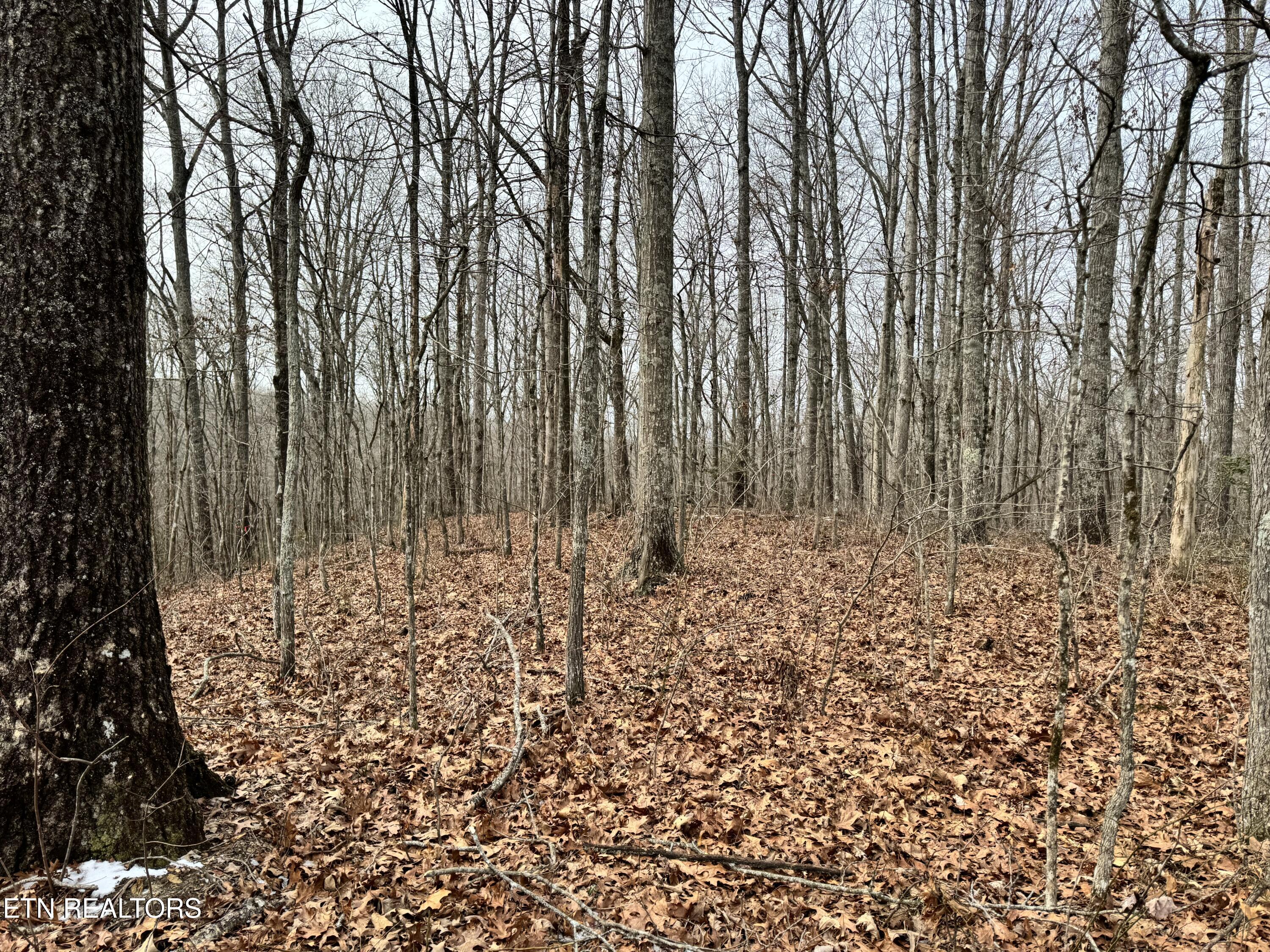 41 Smith Mountain Road Rockwood TN 37854