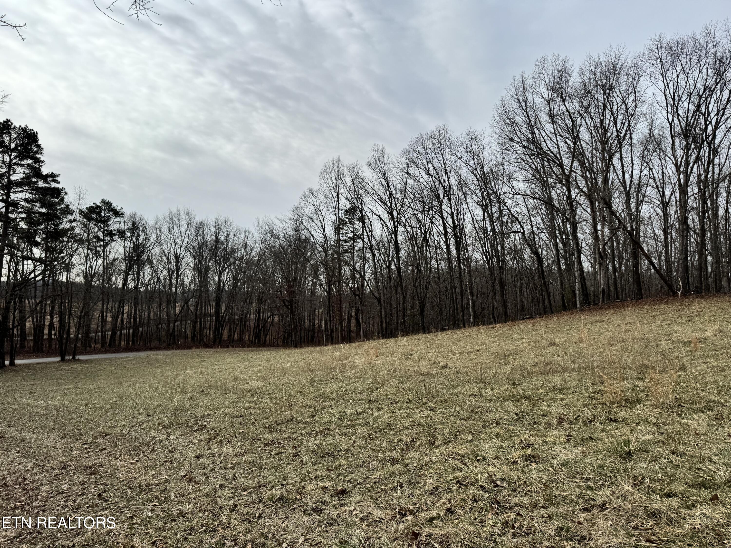 41 Smith Mountain Road Rockwood TN 37854