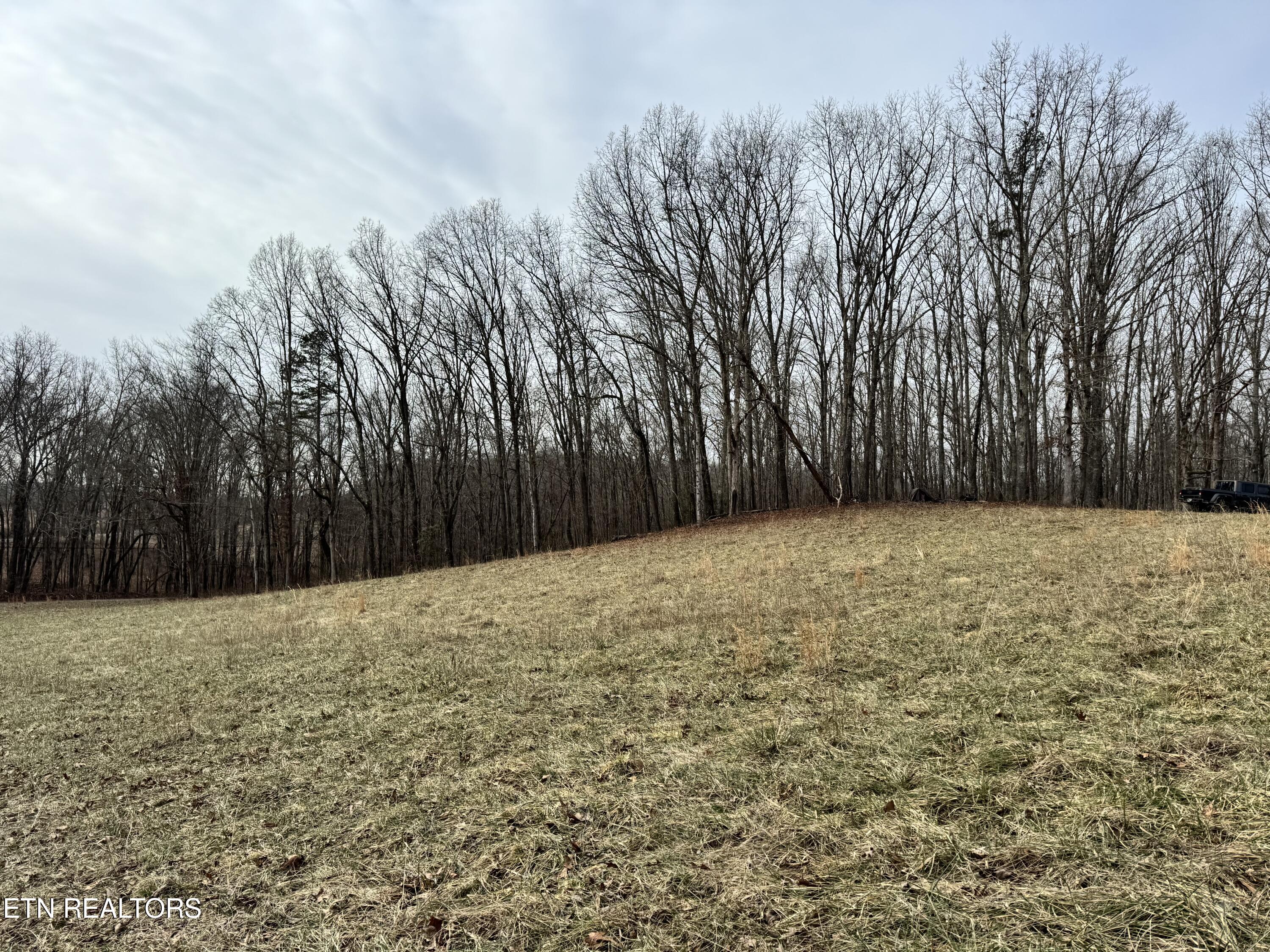 41 Smith Mountain Road Rockwood TN 37854