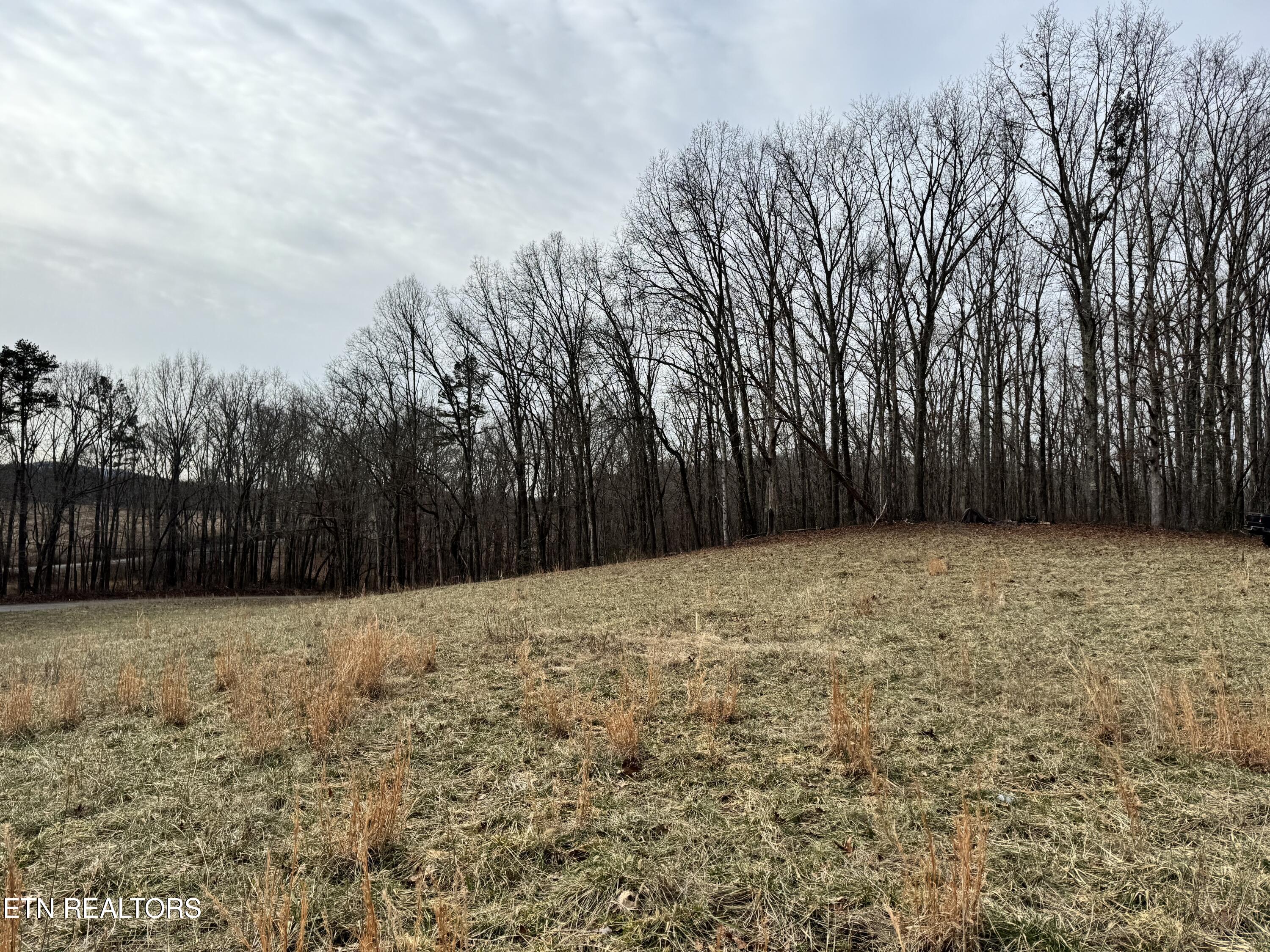 41 Smith Mountain Road Rockwood TN 37854