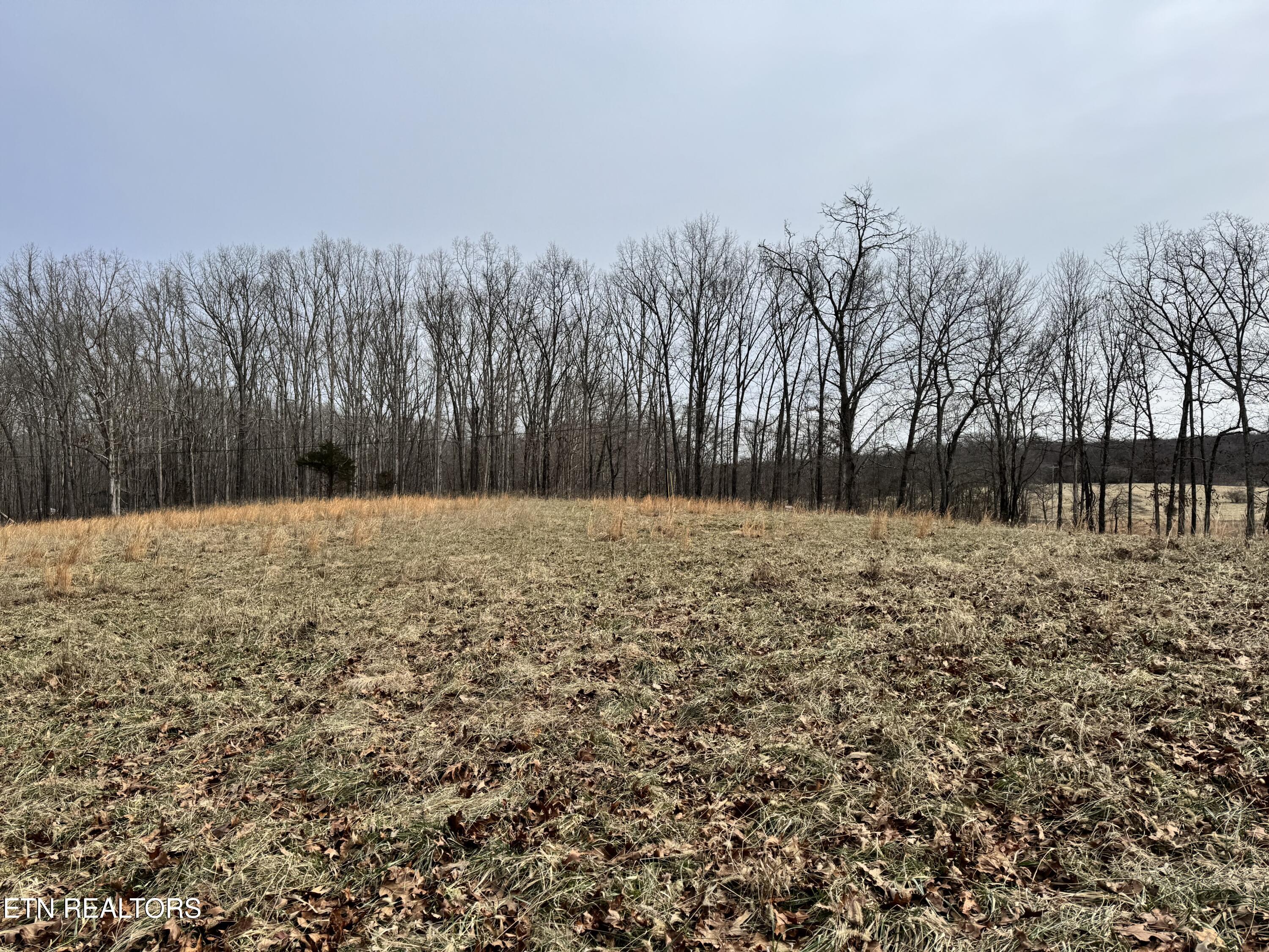 41 Smith Mountain Road Rockwood TN 37854