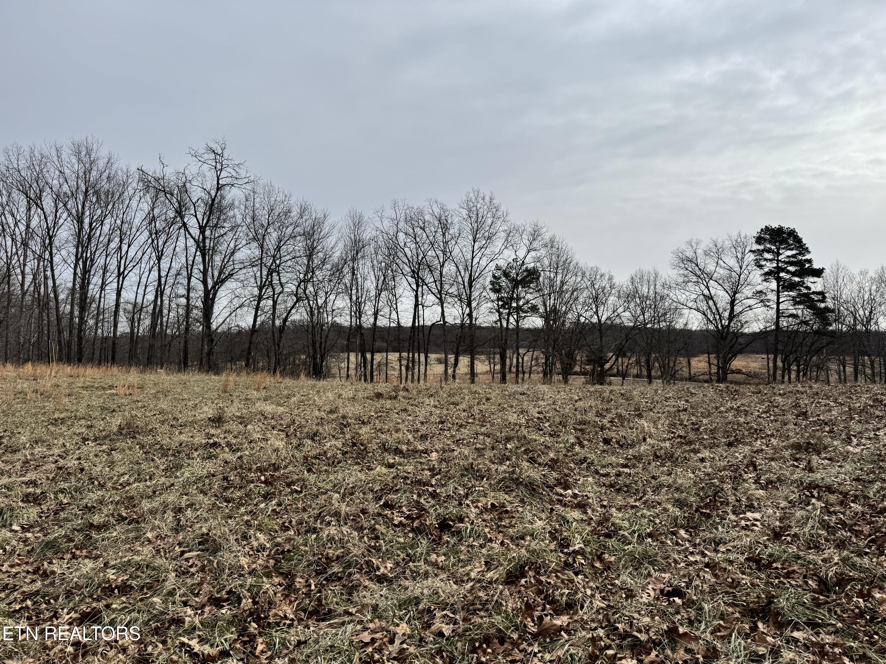 41 Smith Mountain Road Rockwood TN 37854
