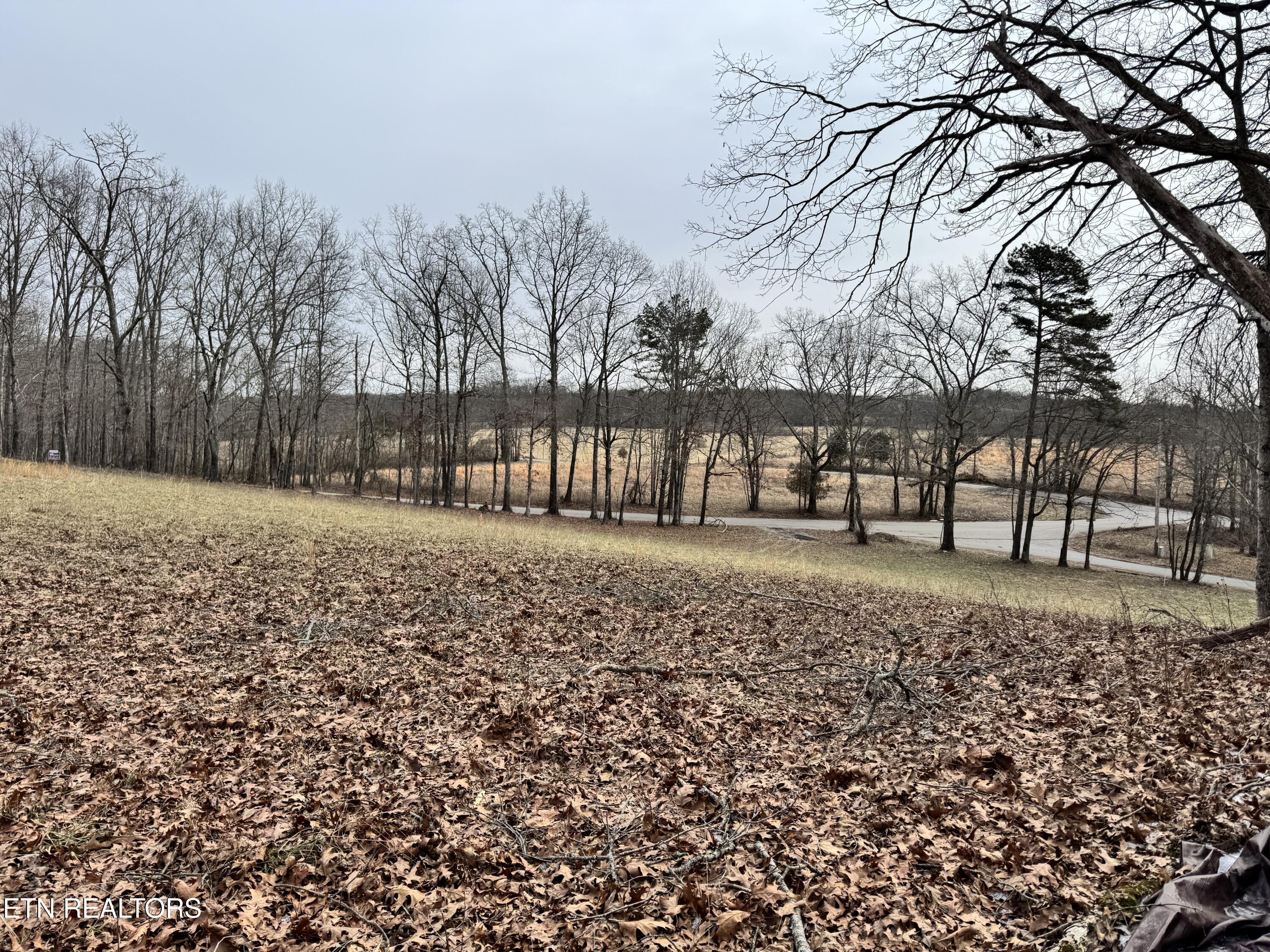 41 Smith Mountain Road Rockwood TN 37854