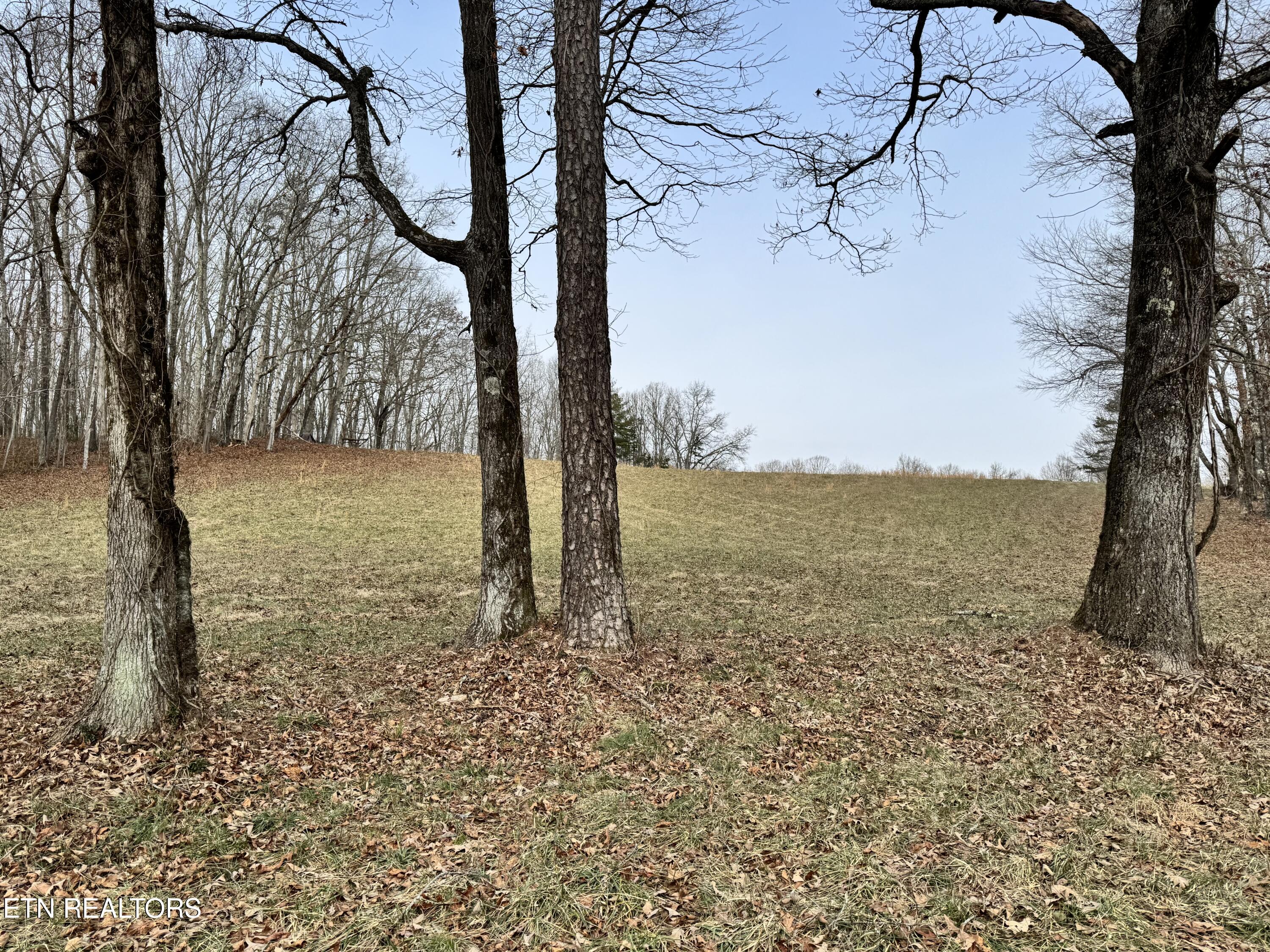 41 Smith Mountain Road Rockwood TN 37854