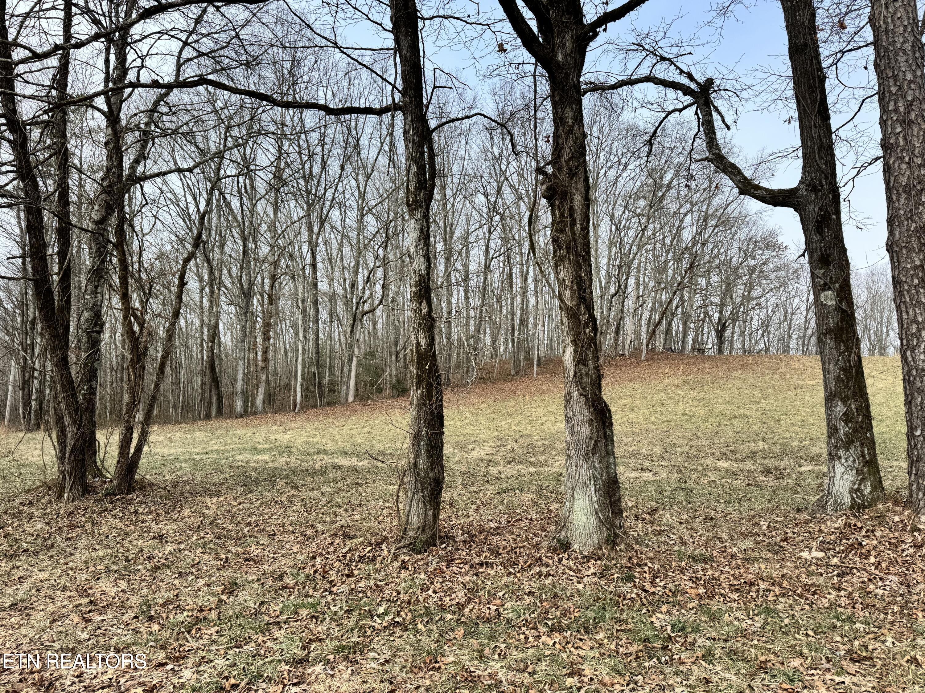 41 Smith Mountain Road Rockwood TN 37854